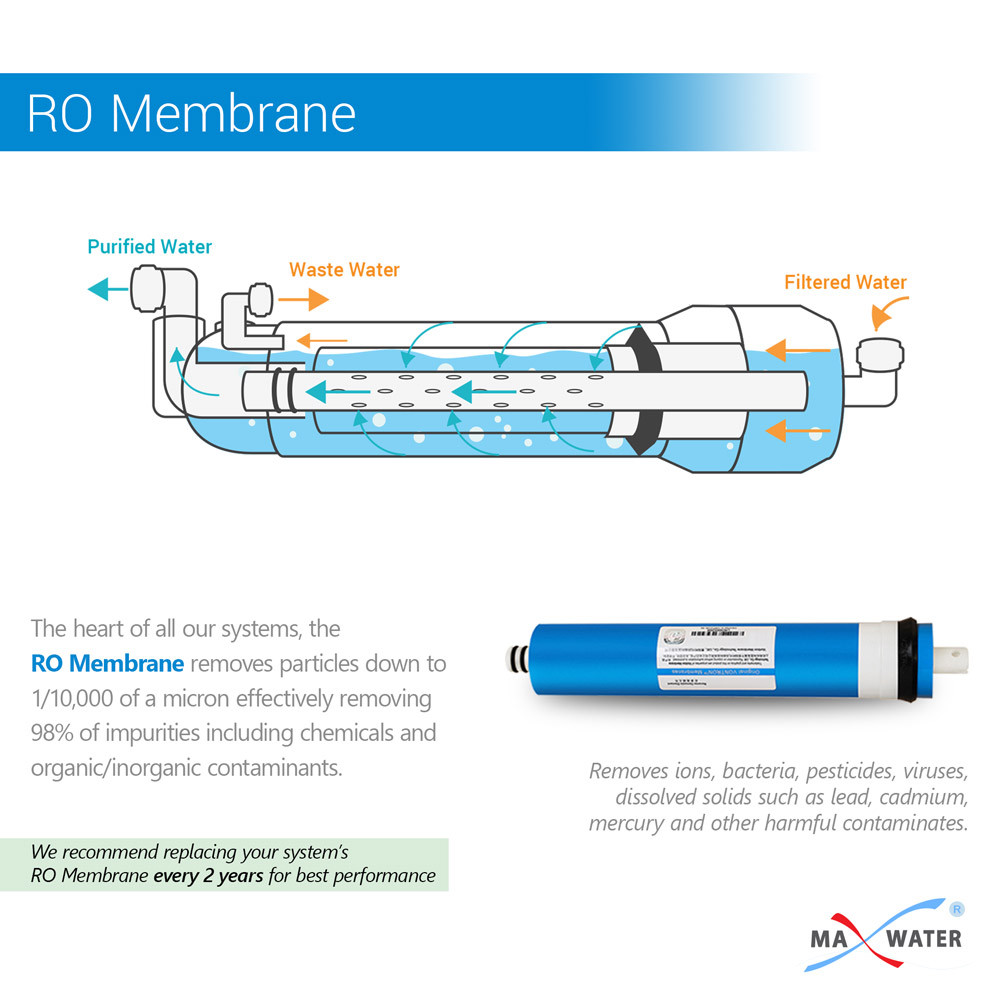 50 GPD Max Water Membrane Reverse Osmosis Universal Replacement RO Water Filter