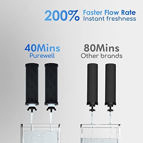 SANSUI PUREWELL 2.25G GRAVITY WATER FILTER SYSTEM 3-STAGE K8772B – SILVER