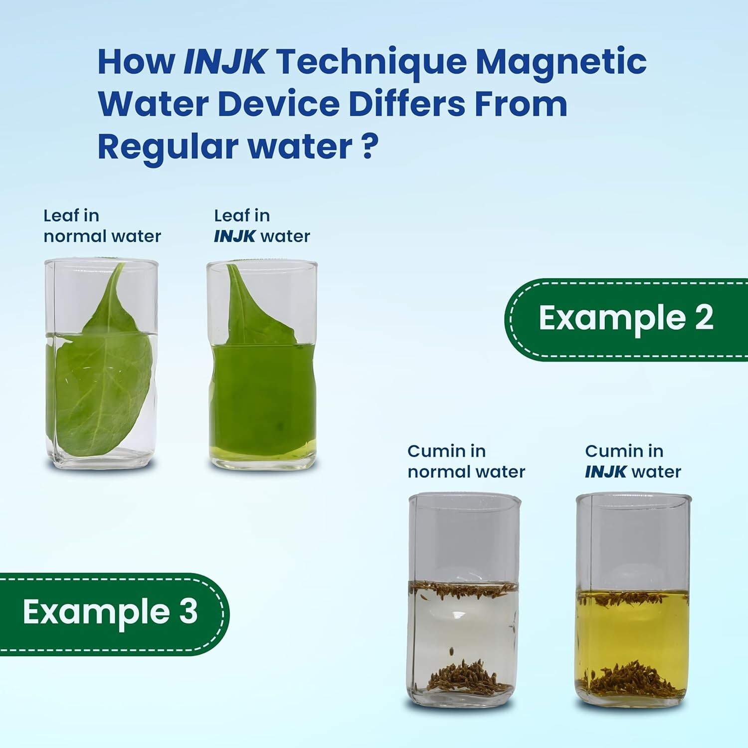 Jeena Sikho INJK Alkaline Water Filter System No Replacement Filter Free Kit