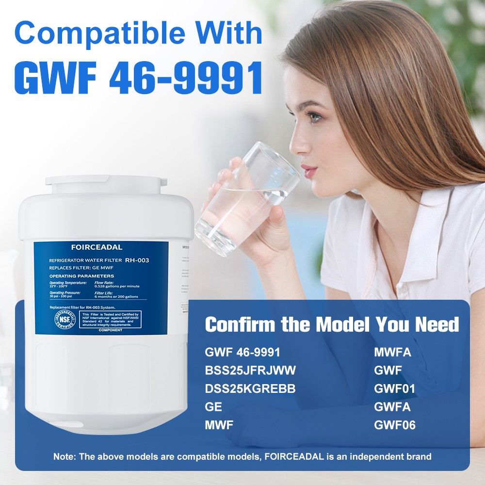 NEW 2pack For GE MWF MWFP GWF 46-9991 Smartwater Fridge Water Filter US