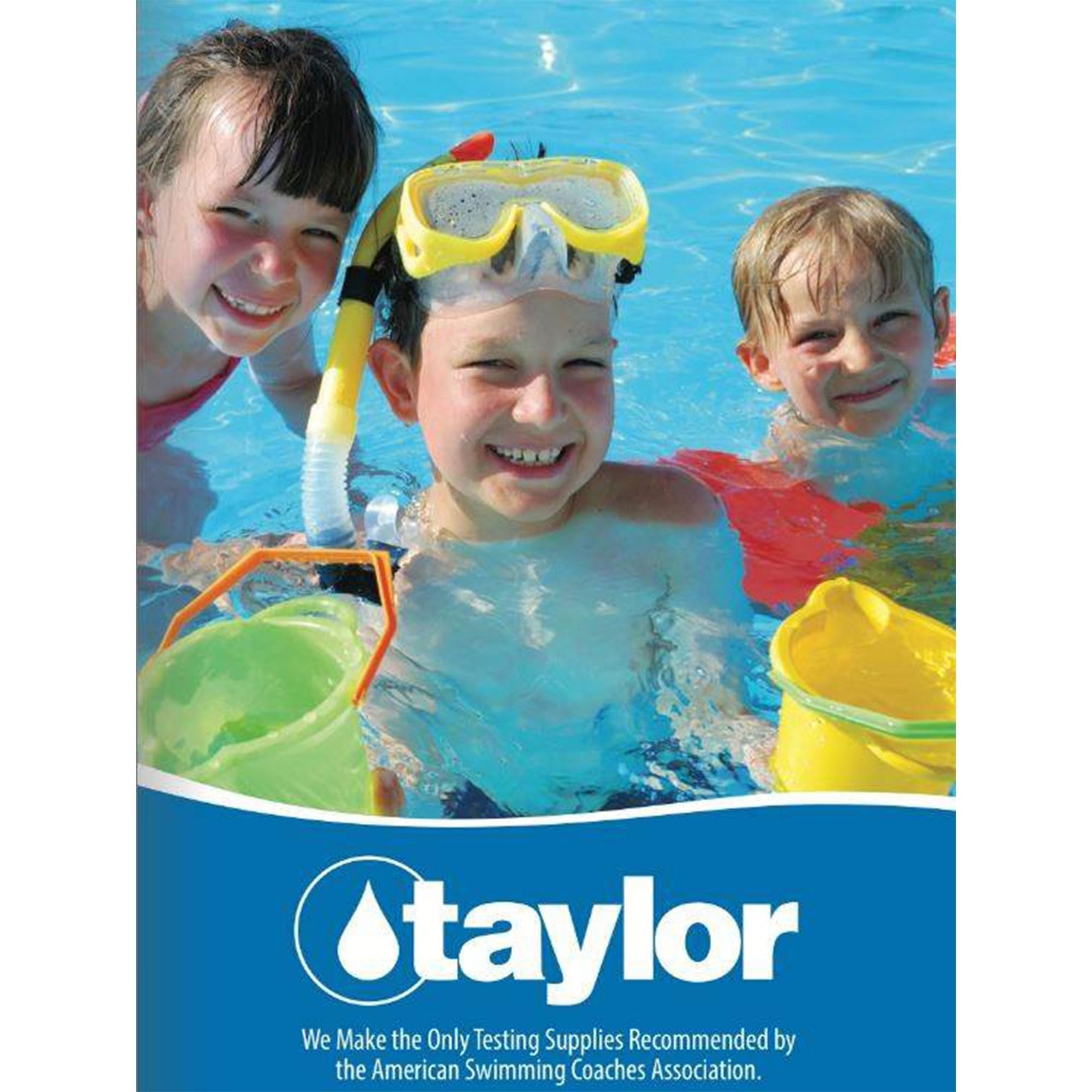 TAYLOR TECHNOLOGIES INC R-0013-E CYANURIC ACID 16 OZ 1 Pack