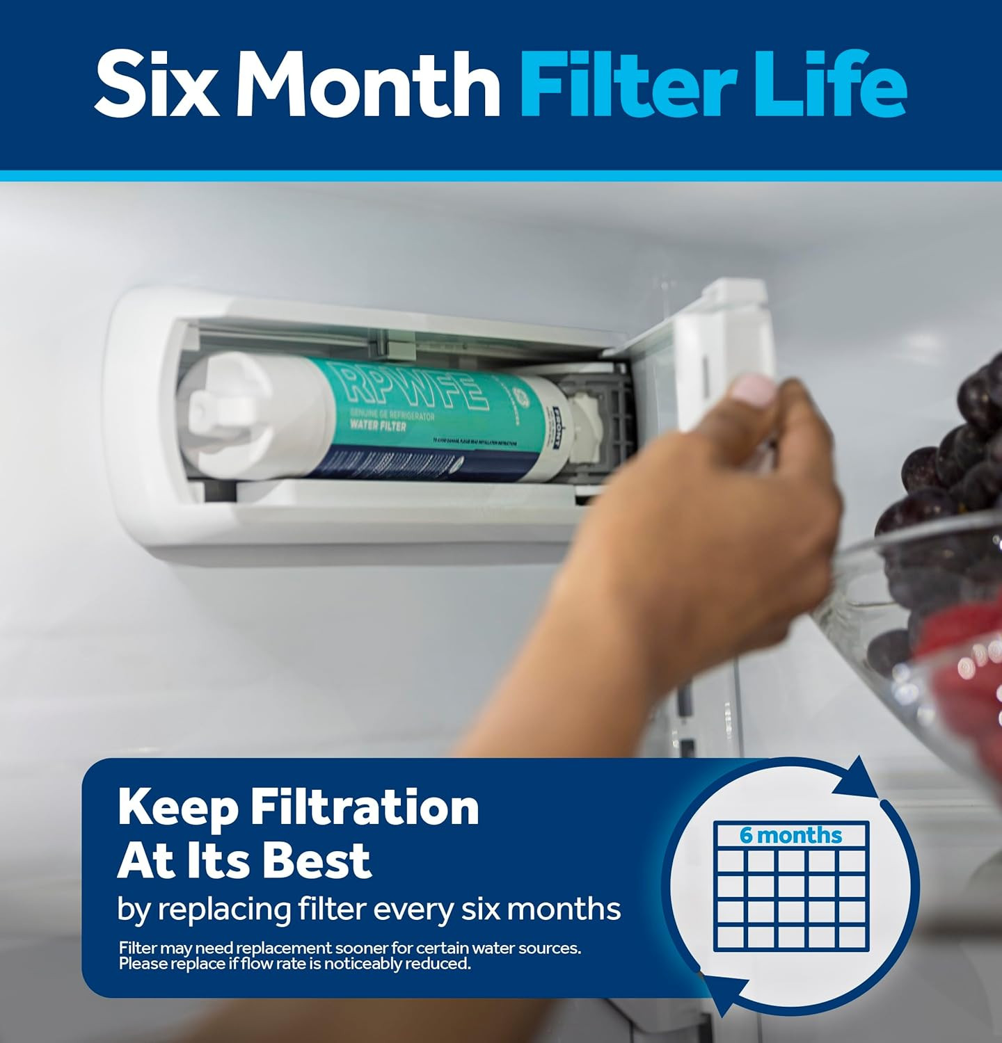 GE Refrigerator Water Filter RPWFE Genuine Replacement French Door Filter New