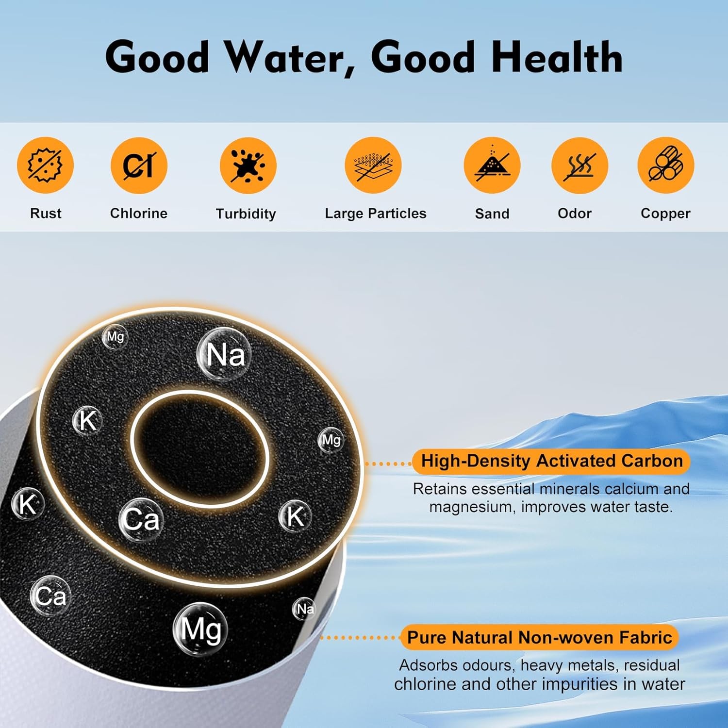 100186 Water Filter Replacement for Amway eSpring Purifier CTC Carbon 1yr