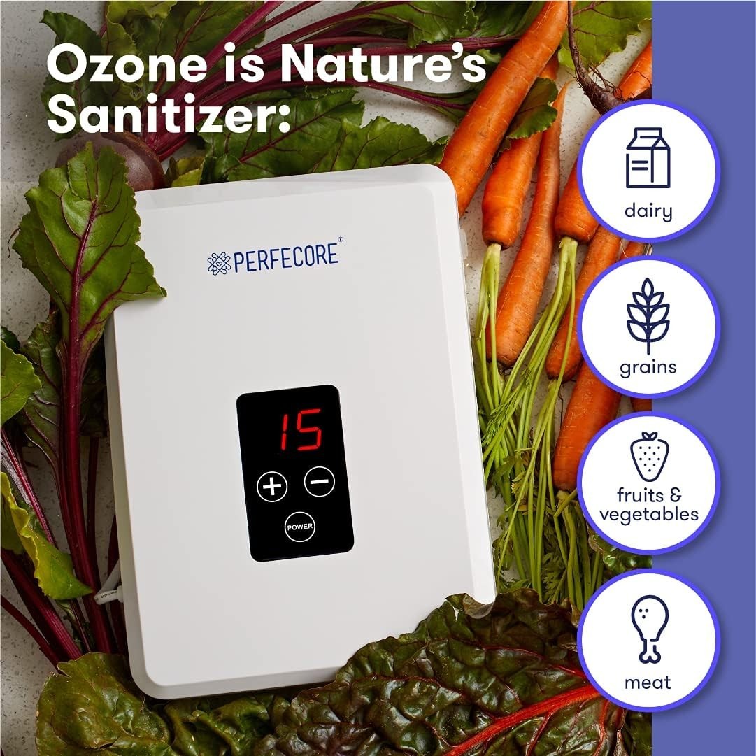 Compact Water Ozonator & Odor Eliminator – 600 mg/h for Home & Kitchen