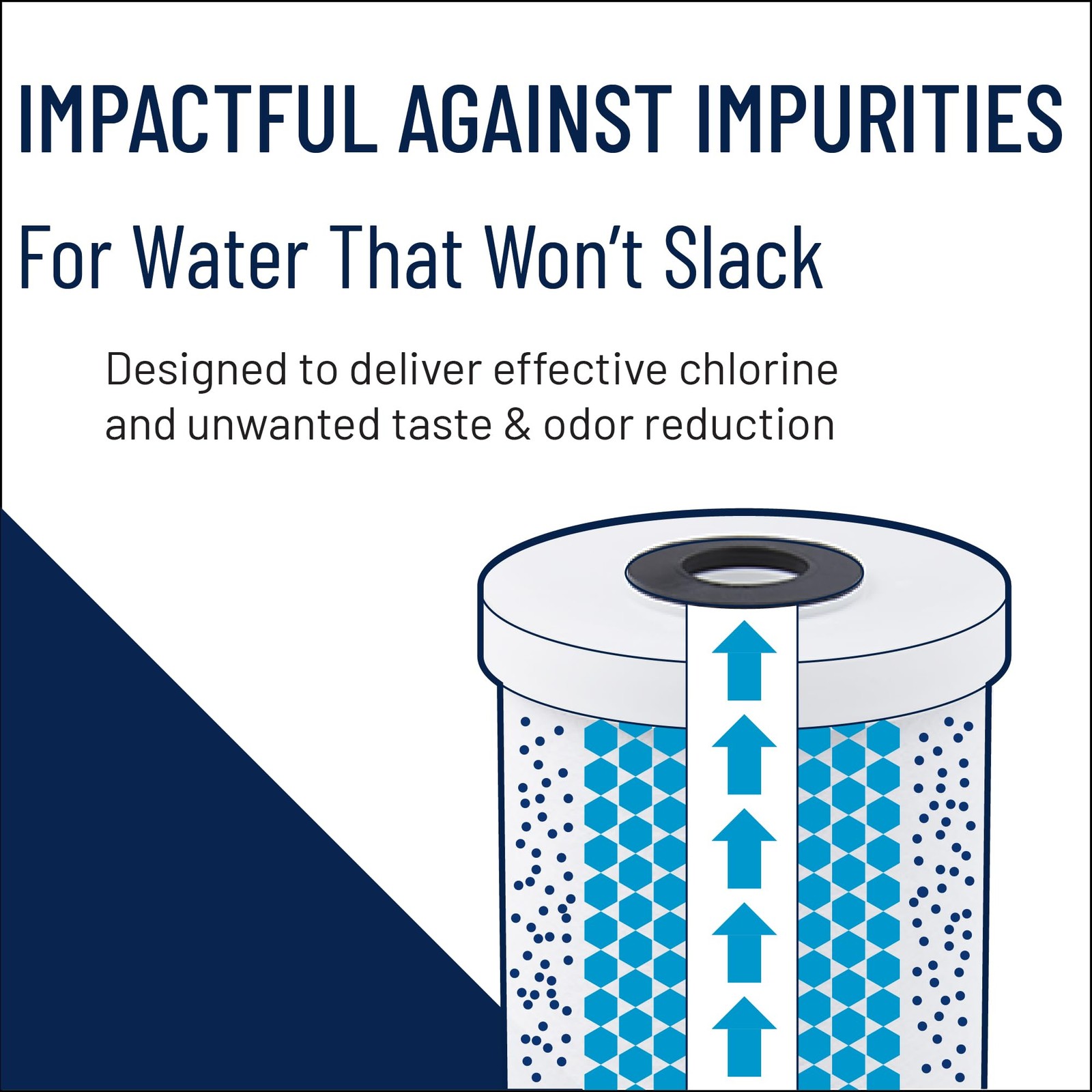 Big Blue Carbon Water Filter Cartridge, 10″ x 4.5″, Pack of 2 for Whole House