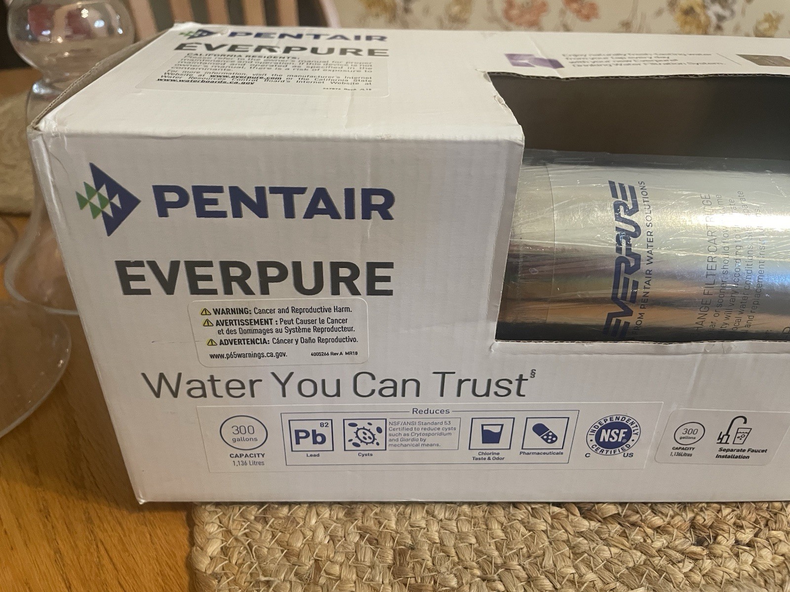 Everpure EV927151 H-300-NXT Drinking Water Filter System, Silver