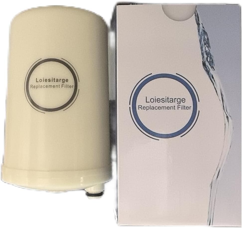 2-Pack Replacement Water Filter for Leveluk Kangen 8, Compatible with HG-N & K-8