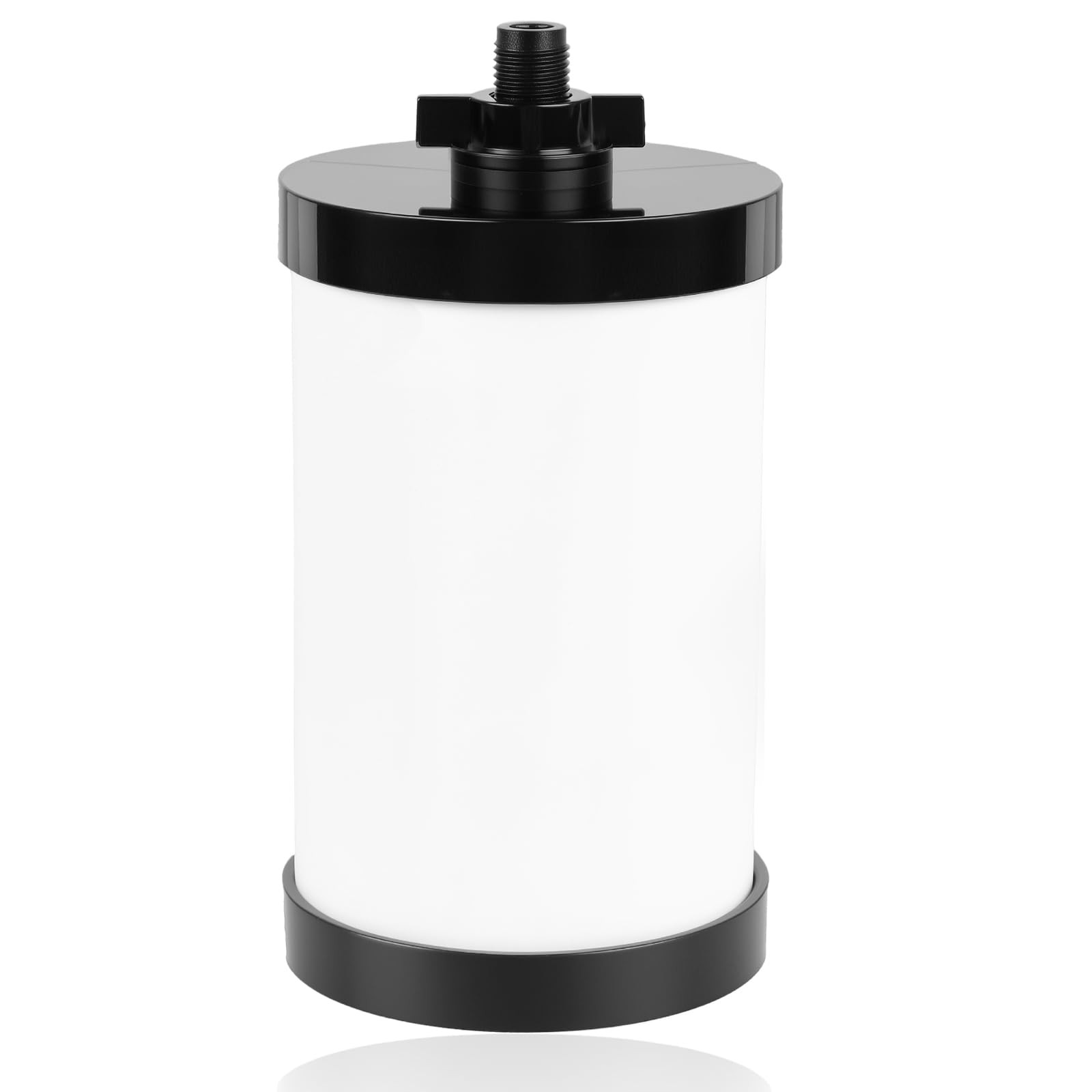 Water Filter Replacement, 2387 Pro Filter Replacement 5000 Gallon Throughput …
