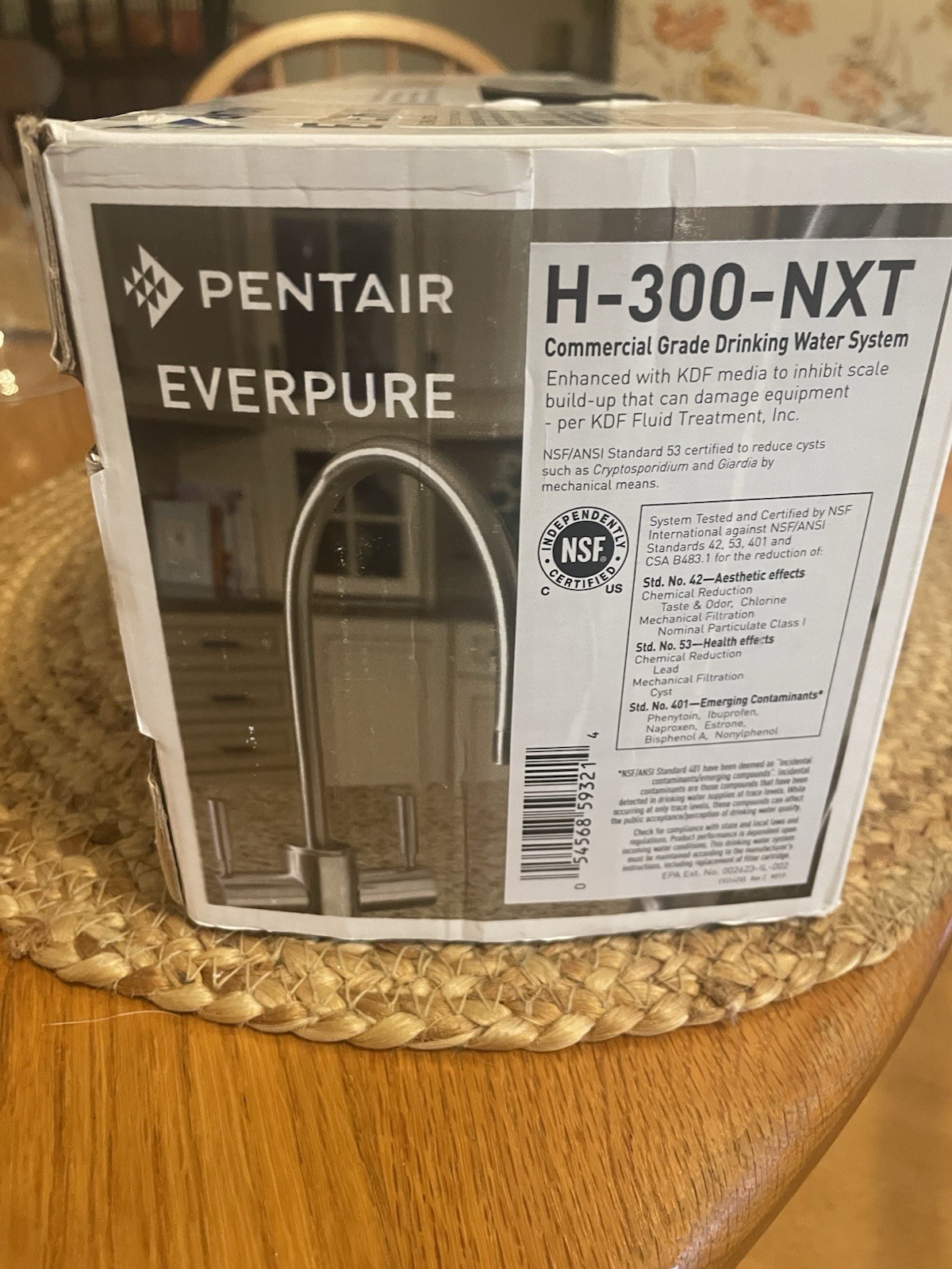 Everpure EV927151 H-300-NXT Drinking Water Filter System, Silver