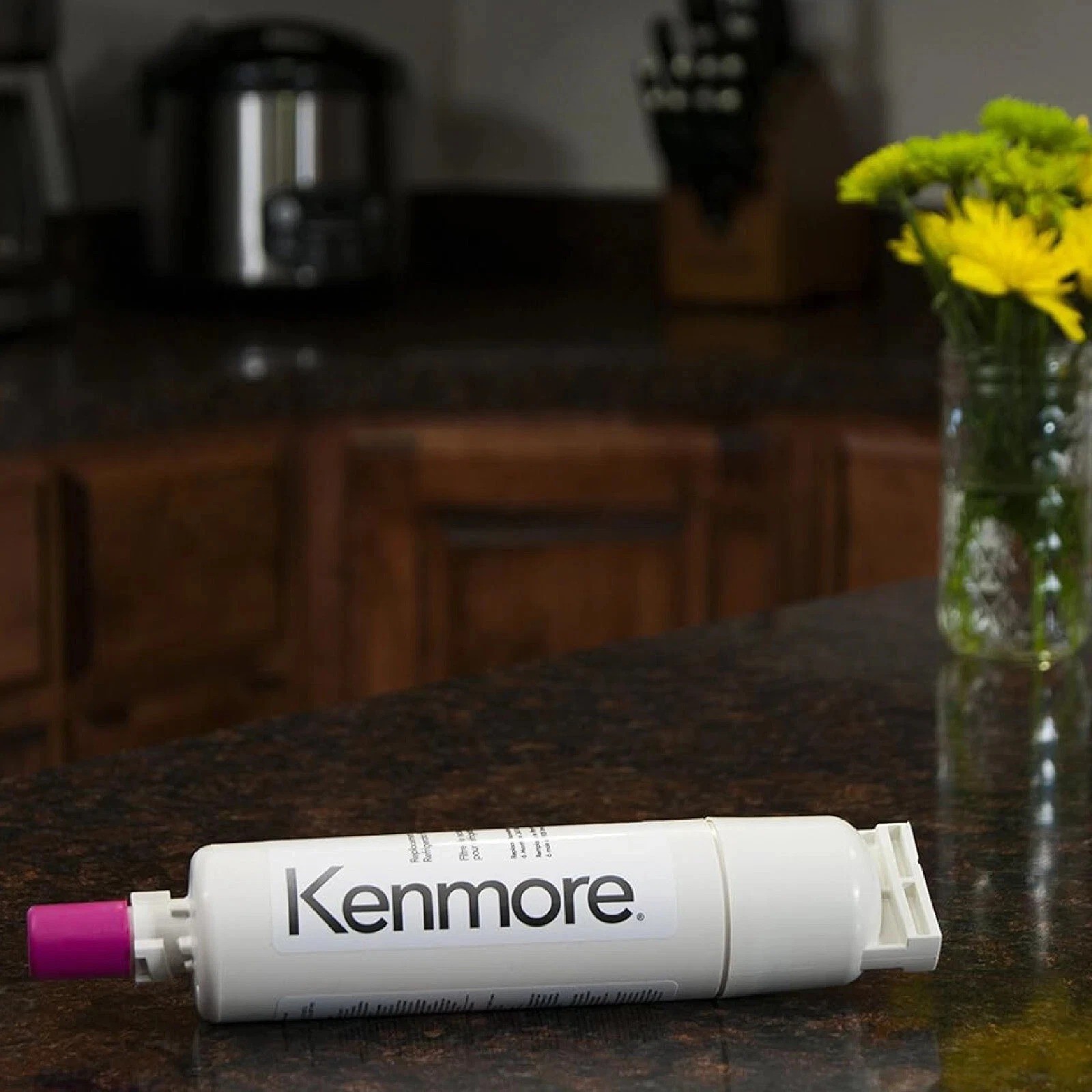 Kenmore CECOMINOD046967 469085 Replacement Refrigerator Water Filter – 9085