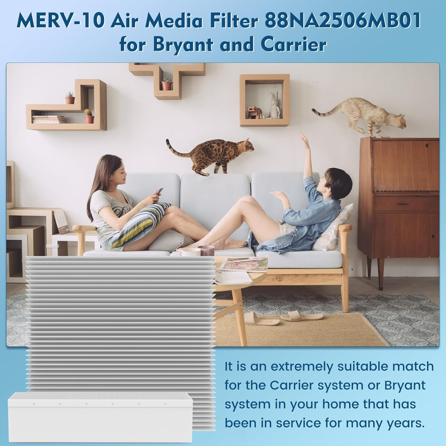 88NA2506MB01 Replacement Filter 2-Pack 25 1/16″ X 6 5/16″ Compatible with Carrie