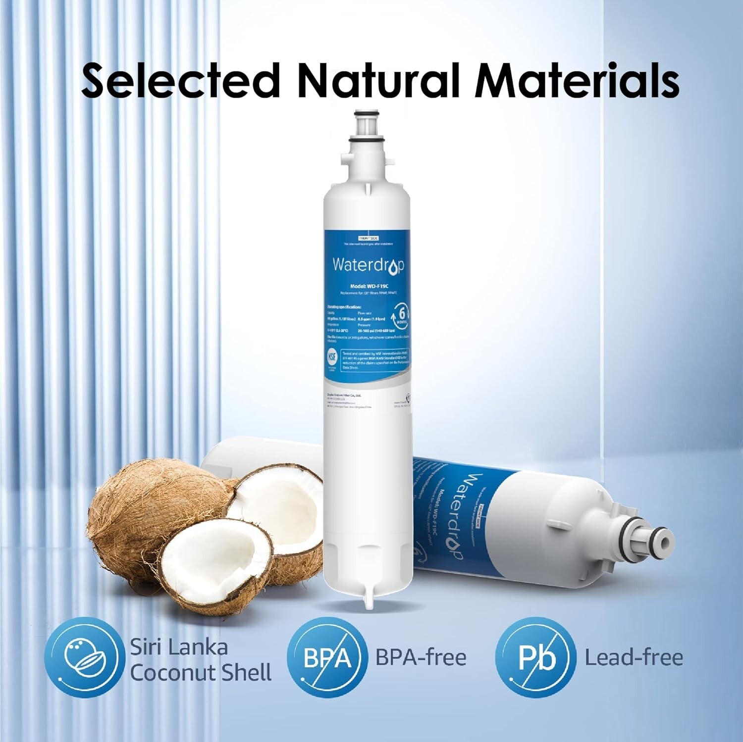 Waterdrop Refrigerator Water Filter, Replacement for GE® RPWFE WITH CHIP (1)