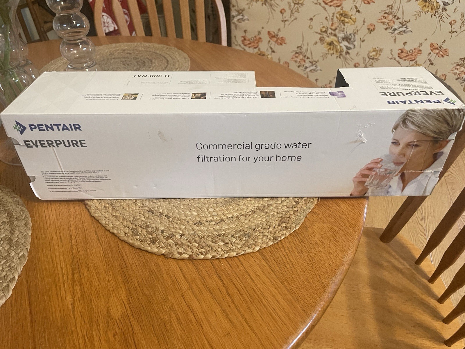 Everpure EV927151 H-300-NXT Drinking Water Filter System, Silver