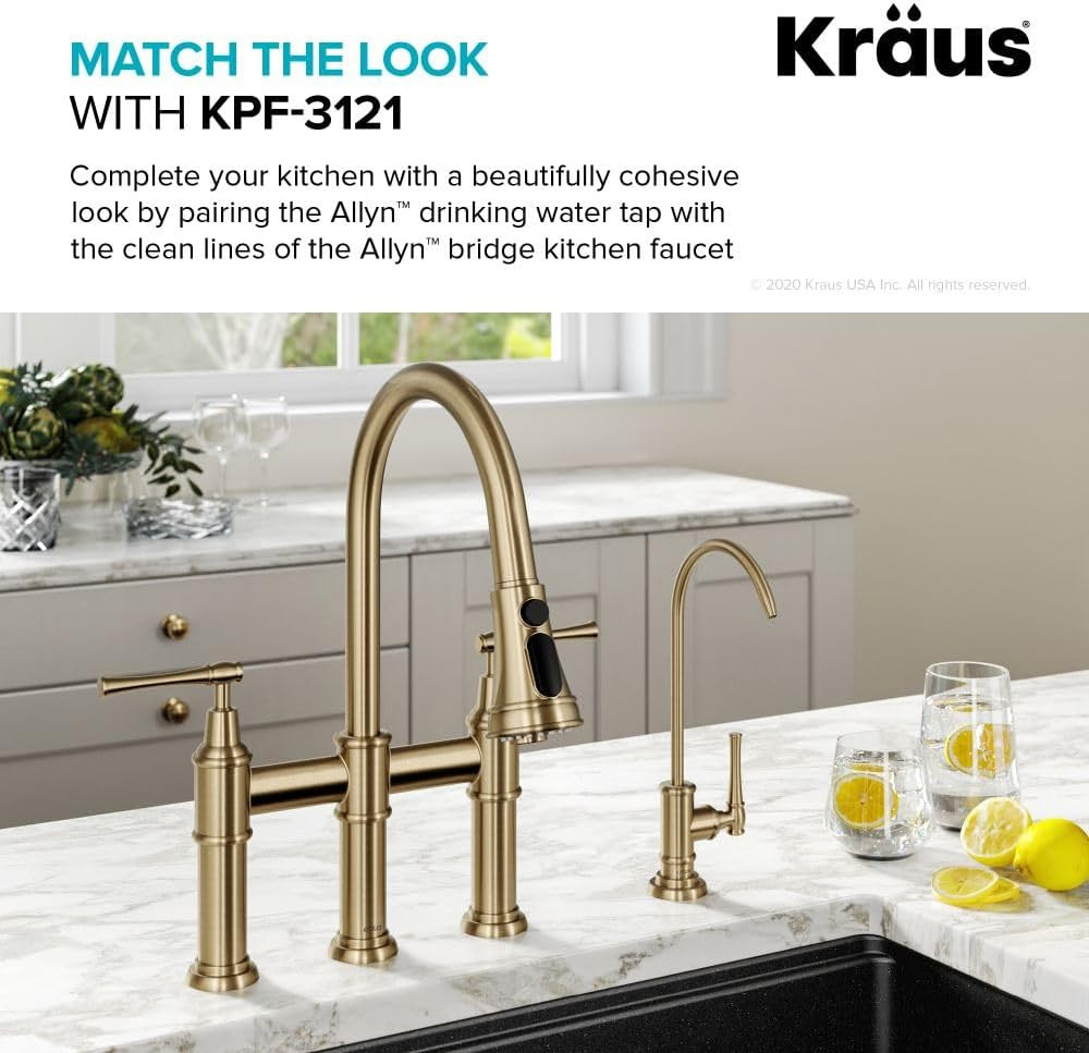 Allyn 100% Lead-Free Kitchen Water Filter Faucet in Brushed Gold, FF-102BG
