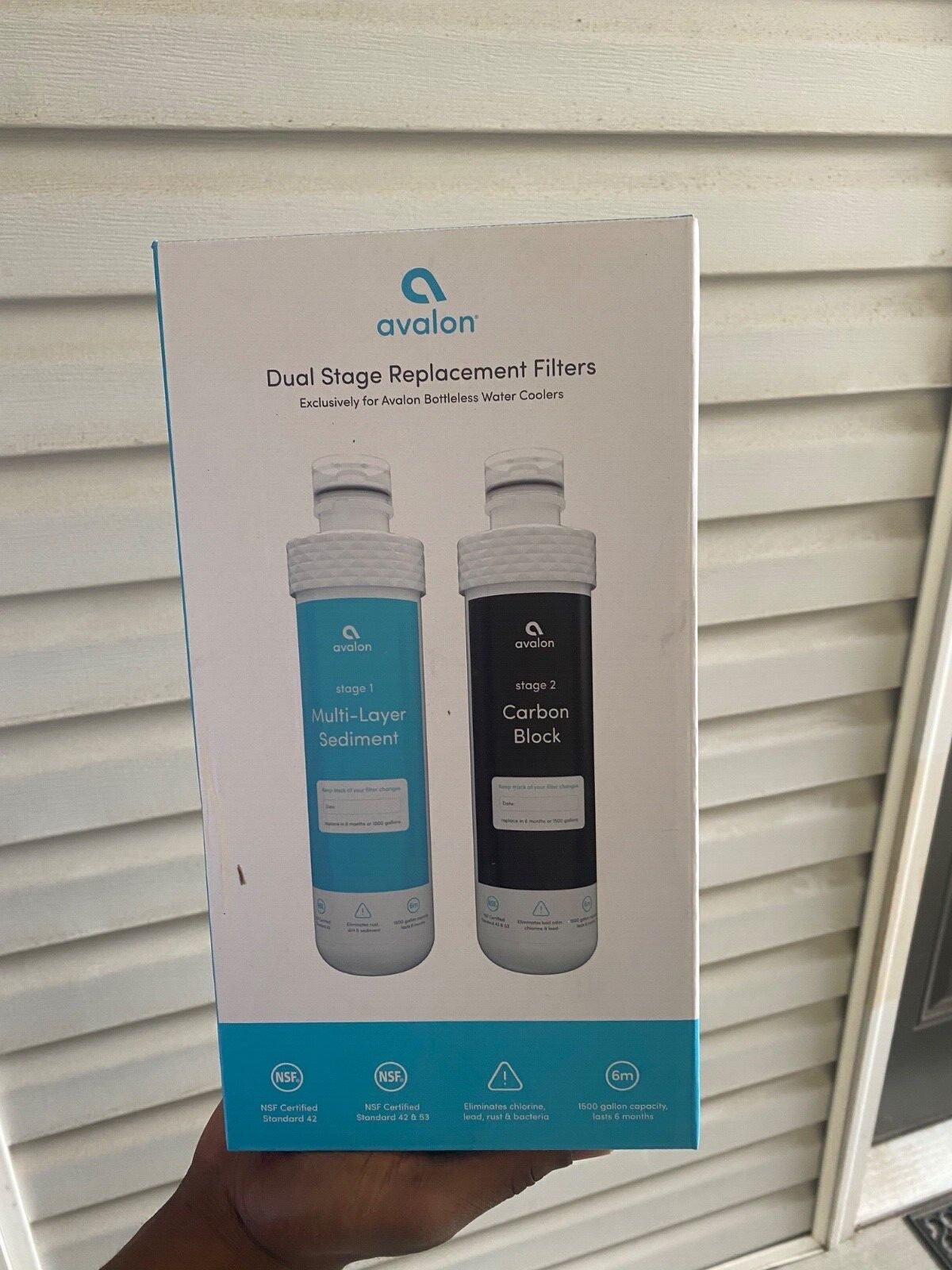 avalon dual stage replacement filters & cleaning kit