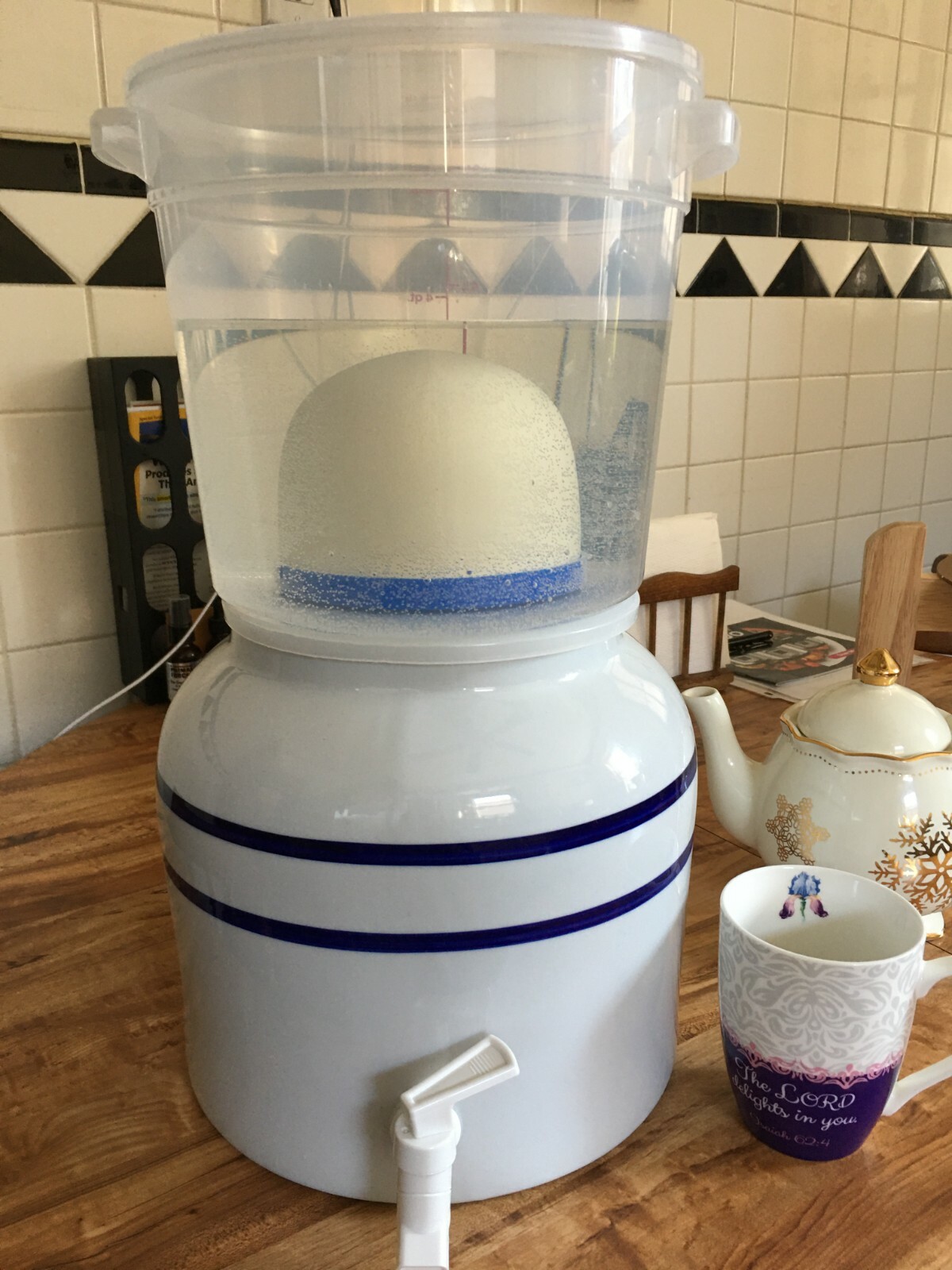 anti-fluoride ceramic + silver filter and Primo water crock