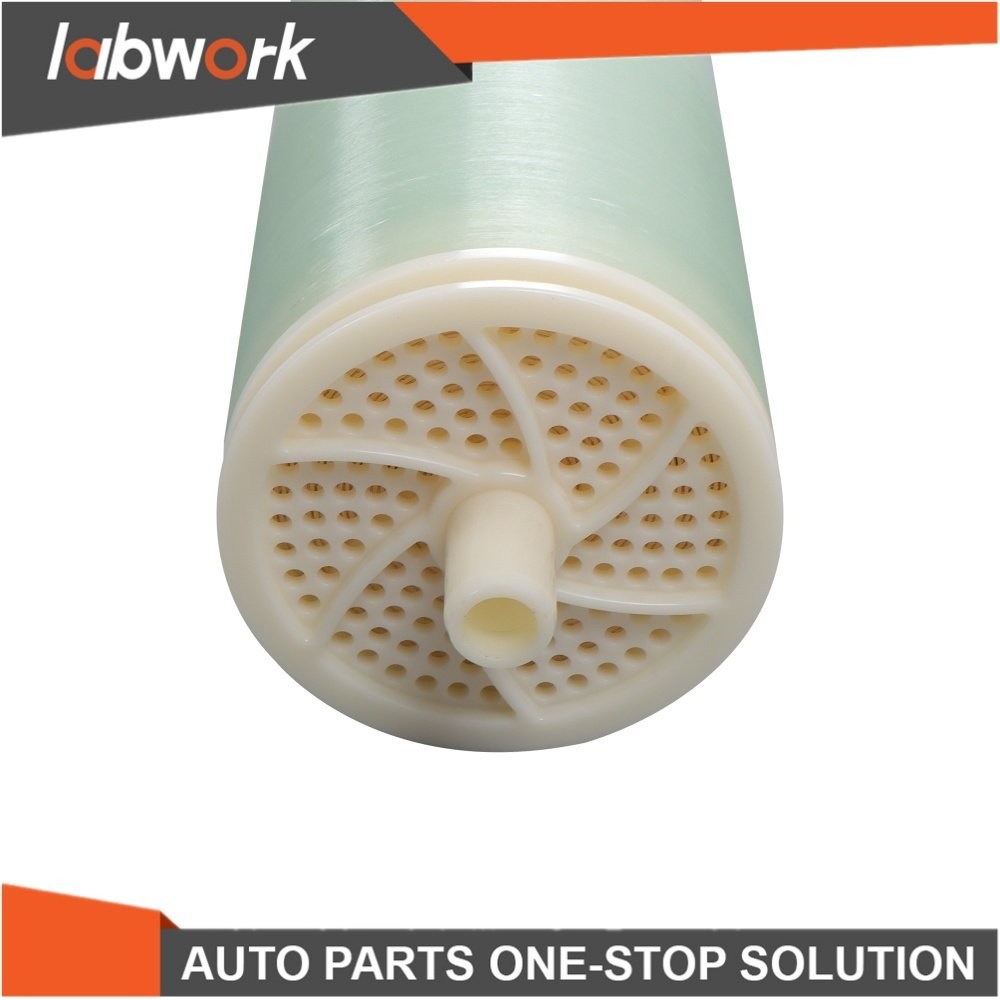 Labwork BW-4040 Reverse Osmosis Membrane 4inx40in 2400 GPD w/AG4040FF AG4040TF