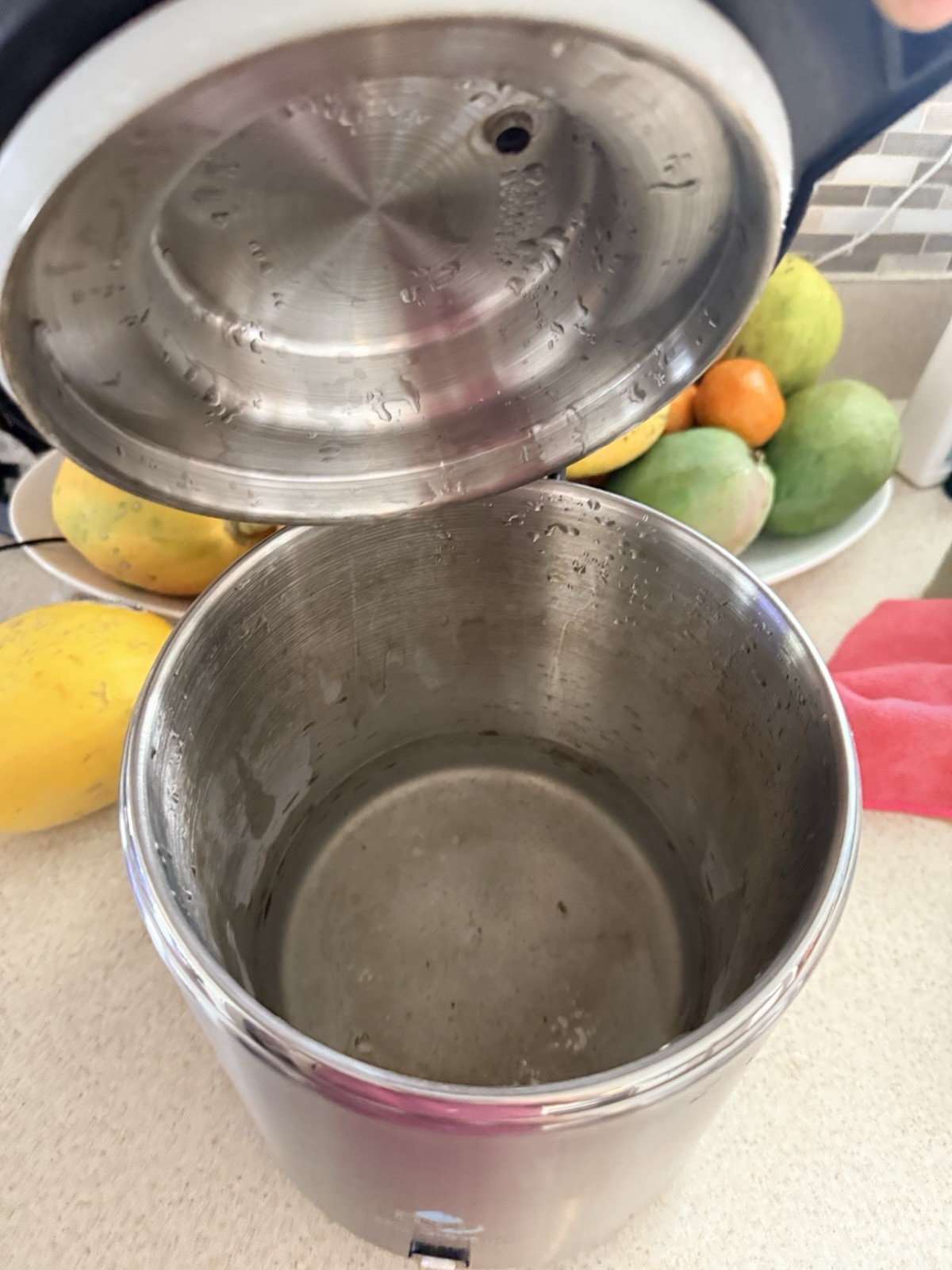 MegaHome MH943S Counter Top Water Distiller Black & Stainless No Pitcher – Used