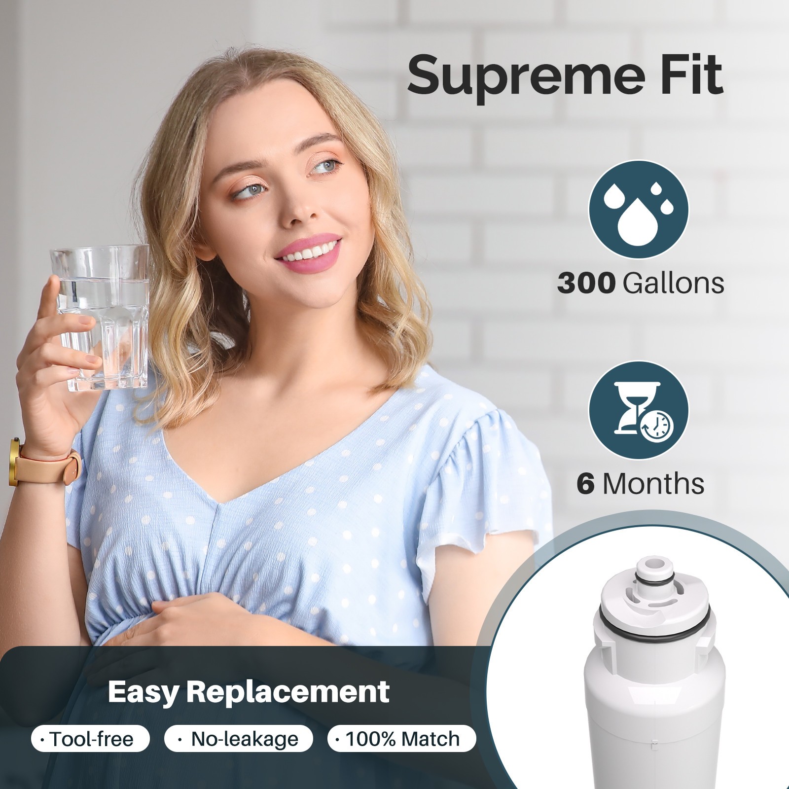 Fit For Kenmore 9130 9310 46-9130 469130 DW2042F09 Water Filter 4 Pack Icepure
