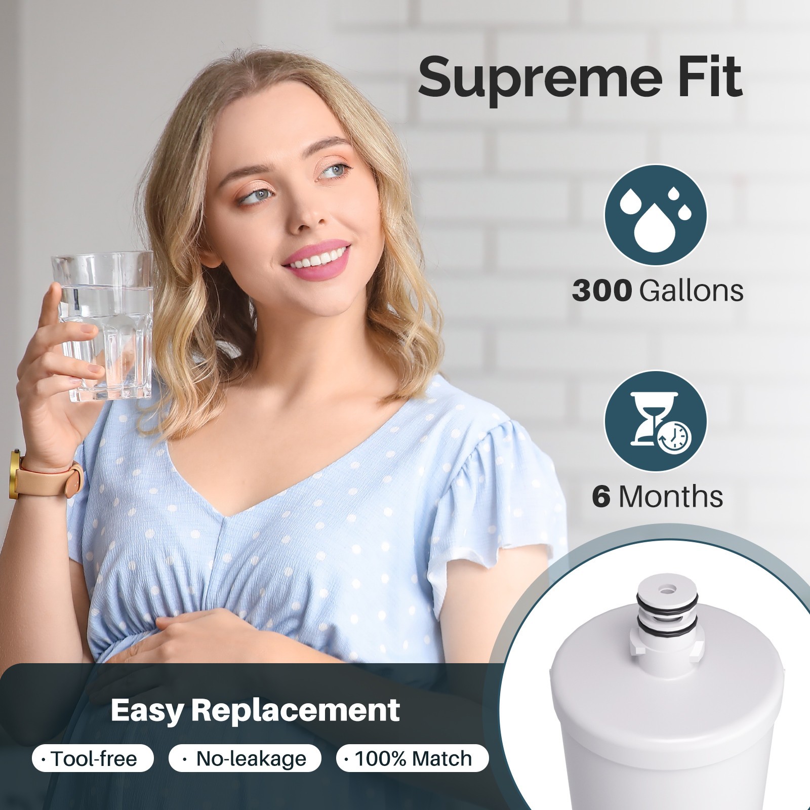 4 PACK Fit For 79572023110 GEN11042FR-08 9890 ADQ72910902 Water Filter Icepure