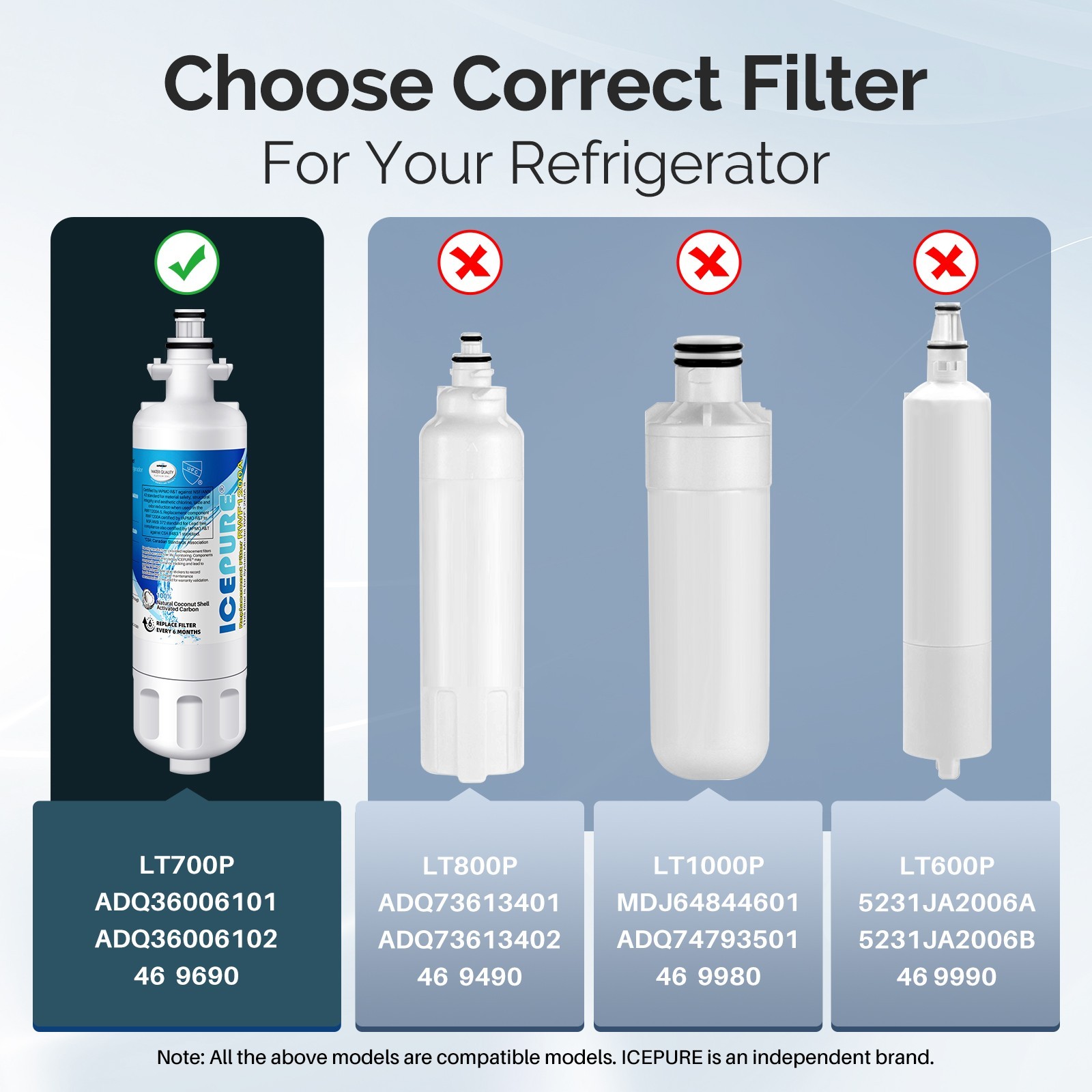ICEPURE Refrigerator Water Filter, Compatible with LG LT700P, Kenmore 9690