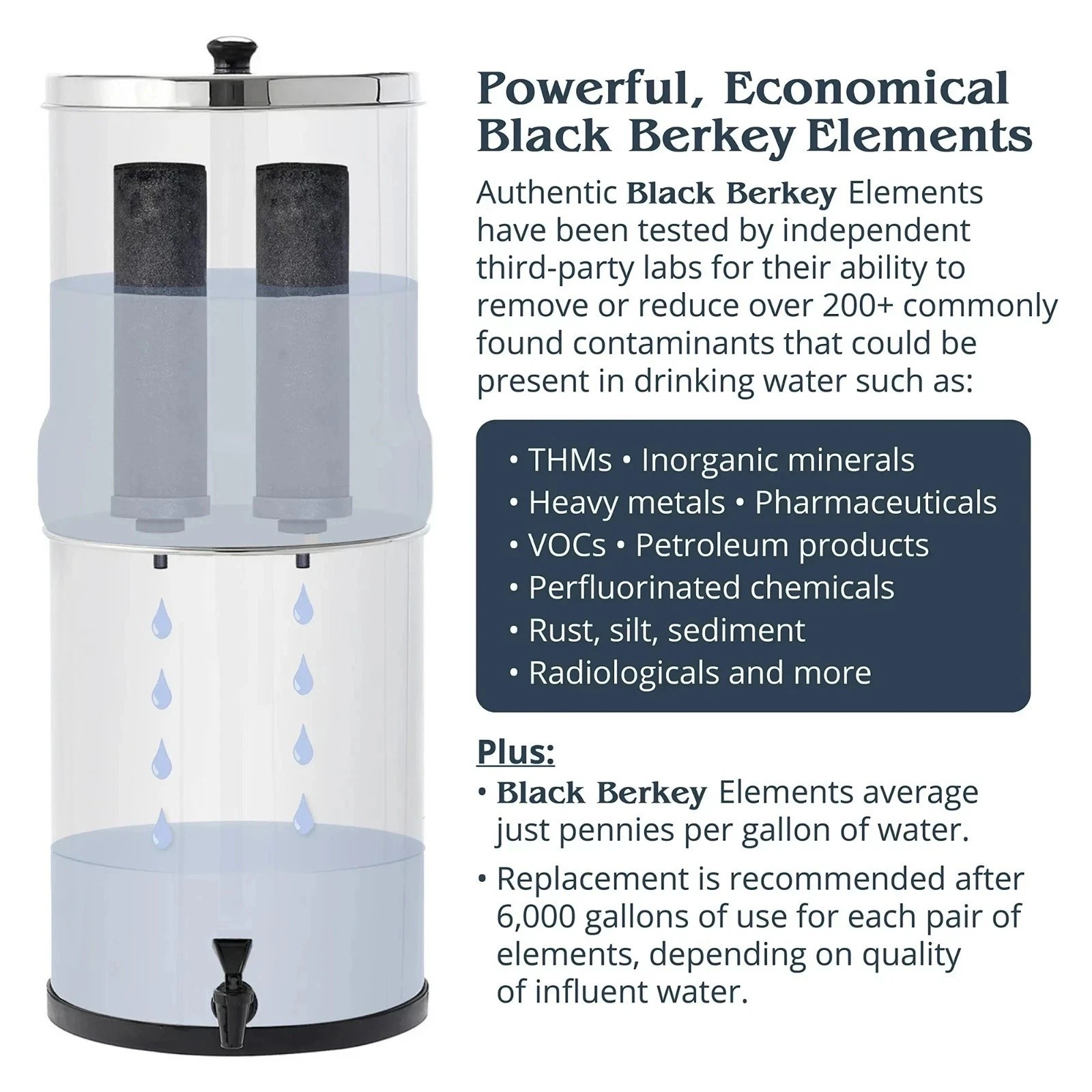 BB9-2 Black Berkey Water Filter Replacement Elements (4-Pack)