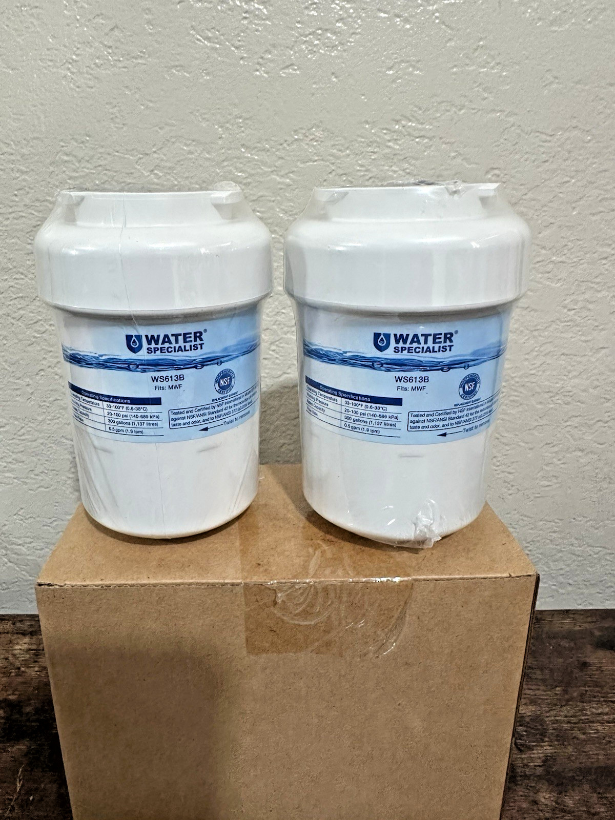 Water Specialist WS613B Replacement for GE MWF SmartWater MWFP 2-Pack Filters