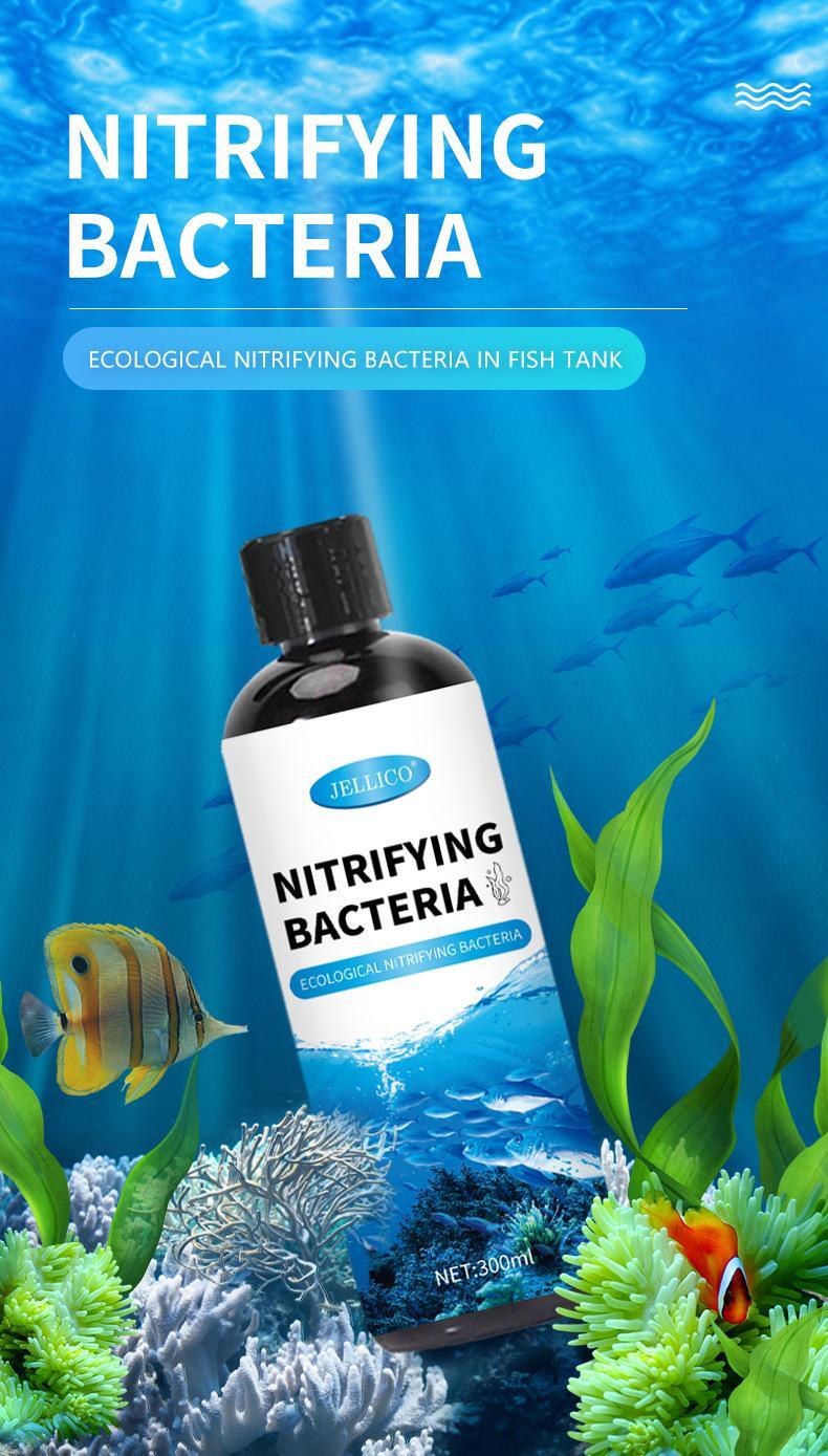 300ml Fish Tank Water Purifier – Nitrifying Bacteria Liquid