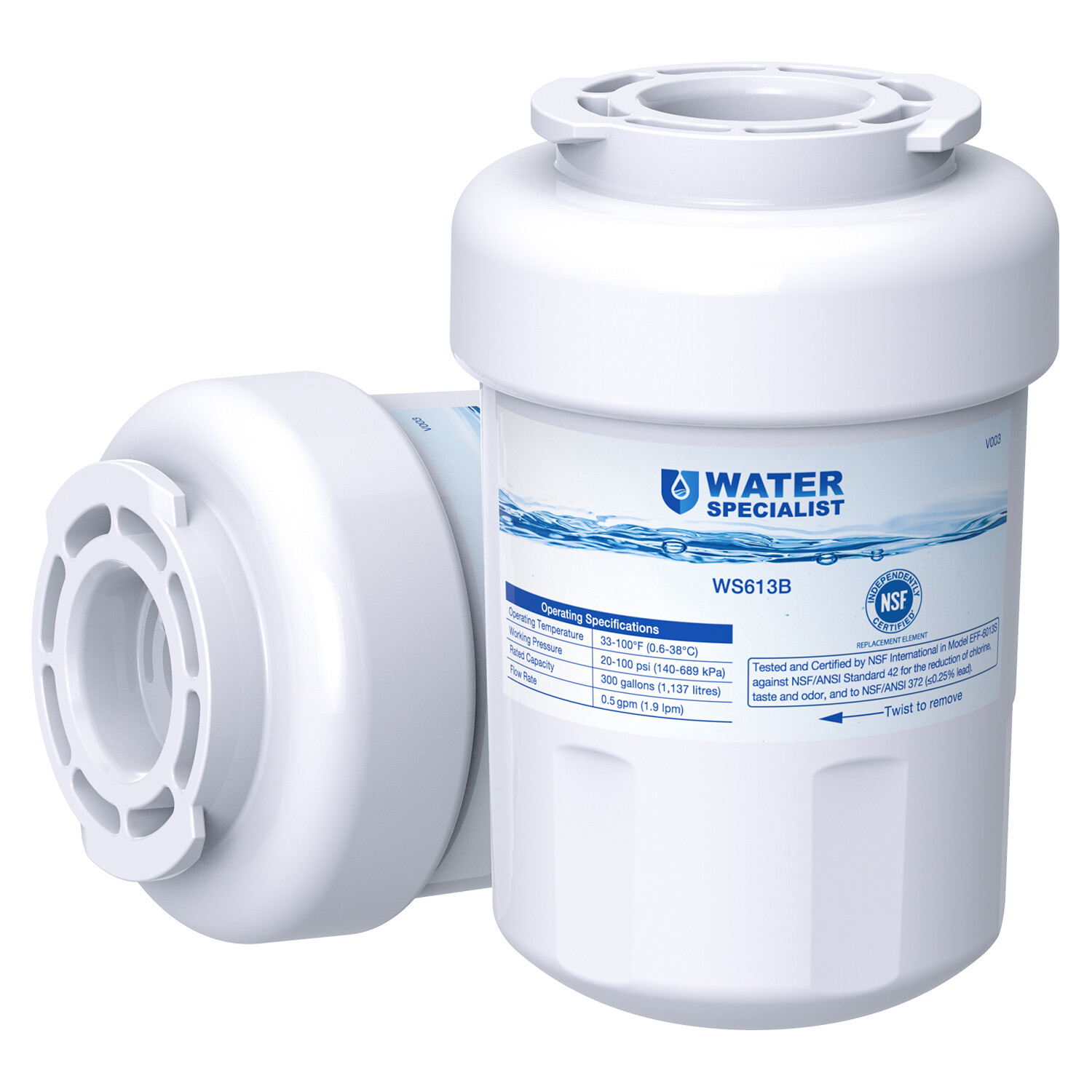 Waterspecialist Refrigerator Water Filter Replacement for GE® SmartWater MWF®(2)