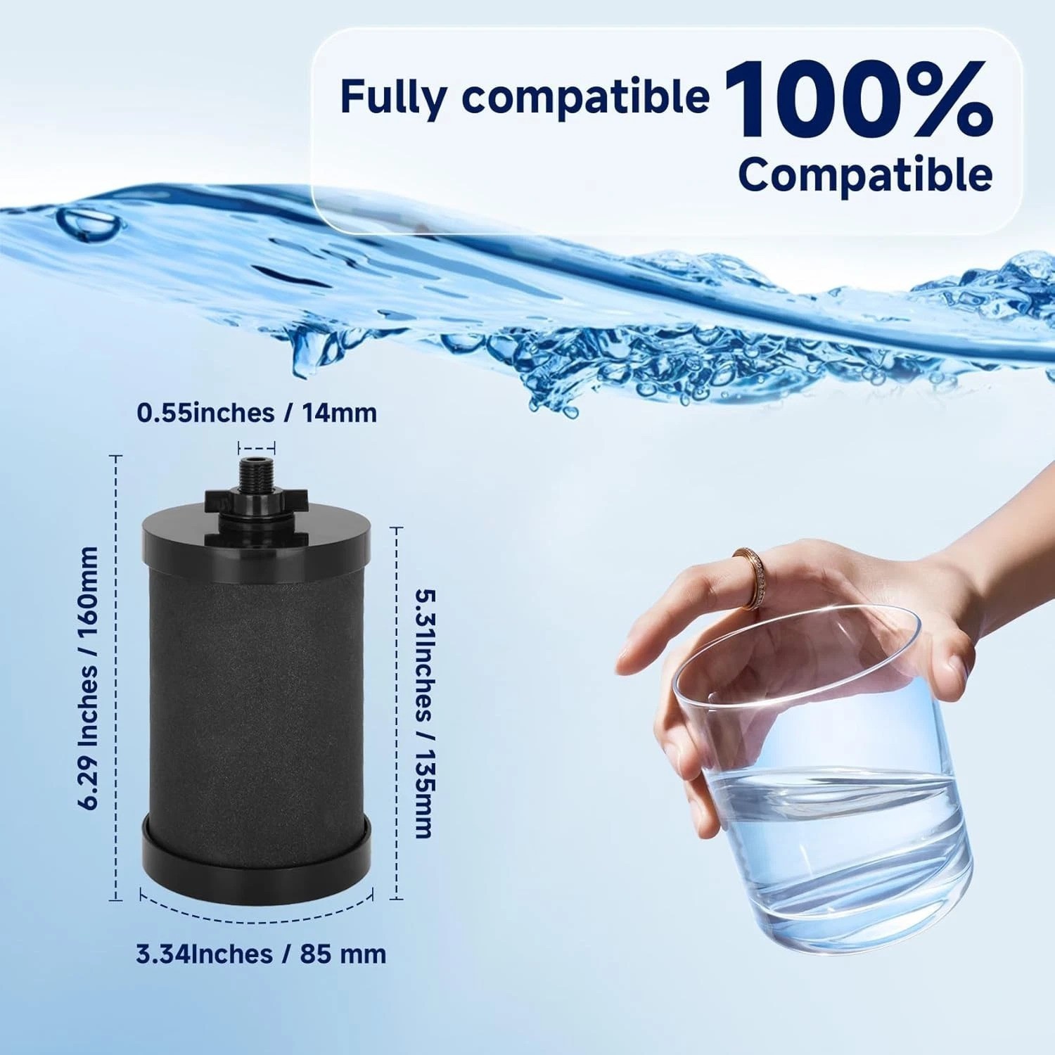 2387 Pro Replacement Filter, NSF Certified, 5,000 Gallon Capacity for Alexapure