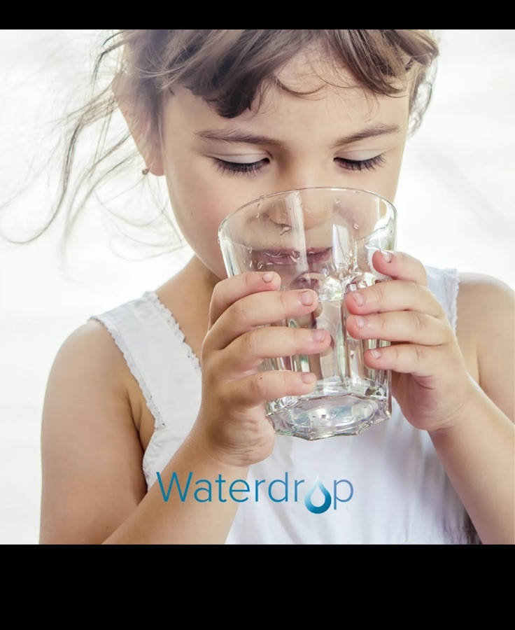 Waterdrop WD-PF-01A Plus Replacement Filters for all Waterdrop Pitcher System,3X