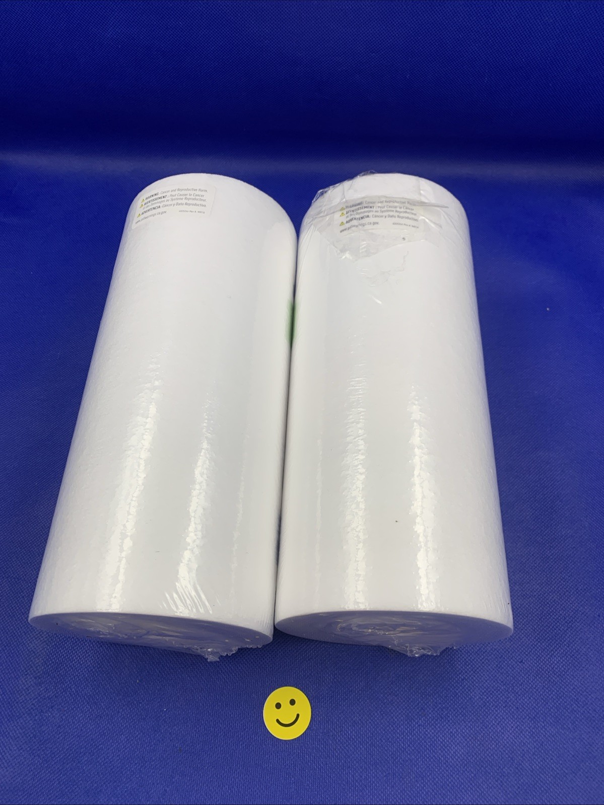 🔥2x Pentair DGD-5005 Big Blue Water Filter, 10-Inch Whole House Sediment Filter