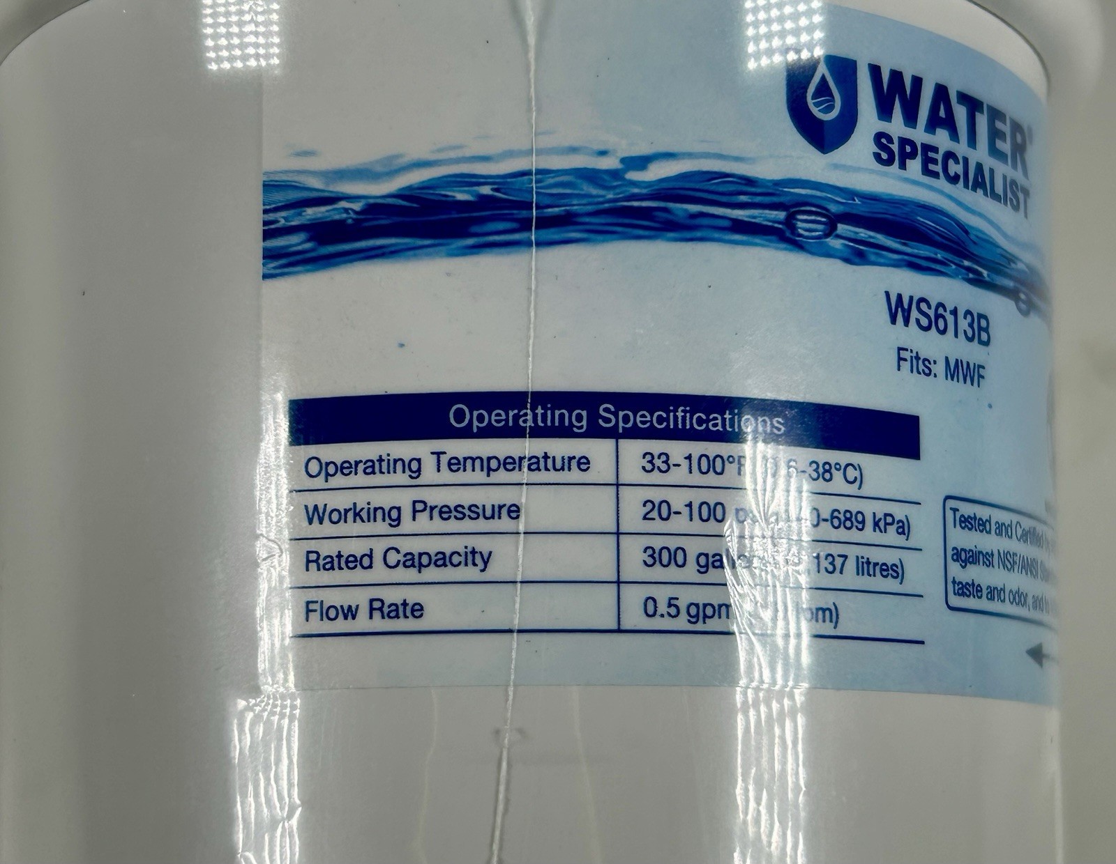 Water Specialist WS613B MWF Water Filter for GE, 300 gal Carbon, 1 Pack