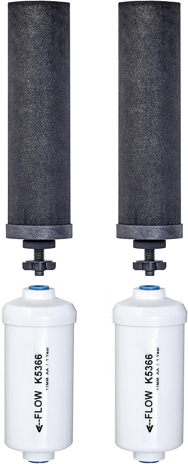 Set of 2 Authentic Black Elements BB9-2 and 2 PF-2 Fluoride Reduction Element…