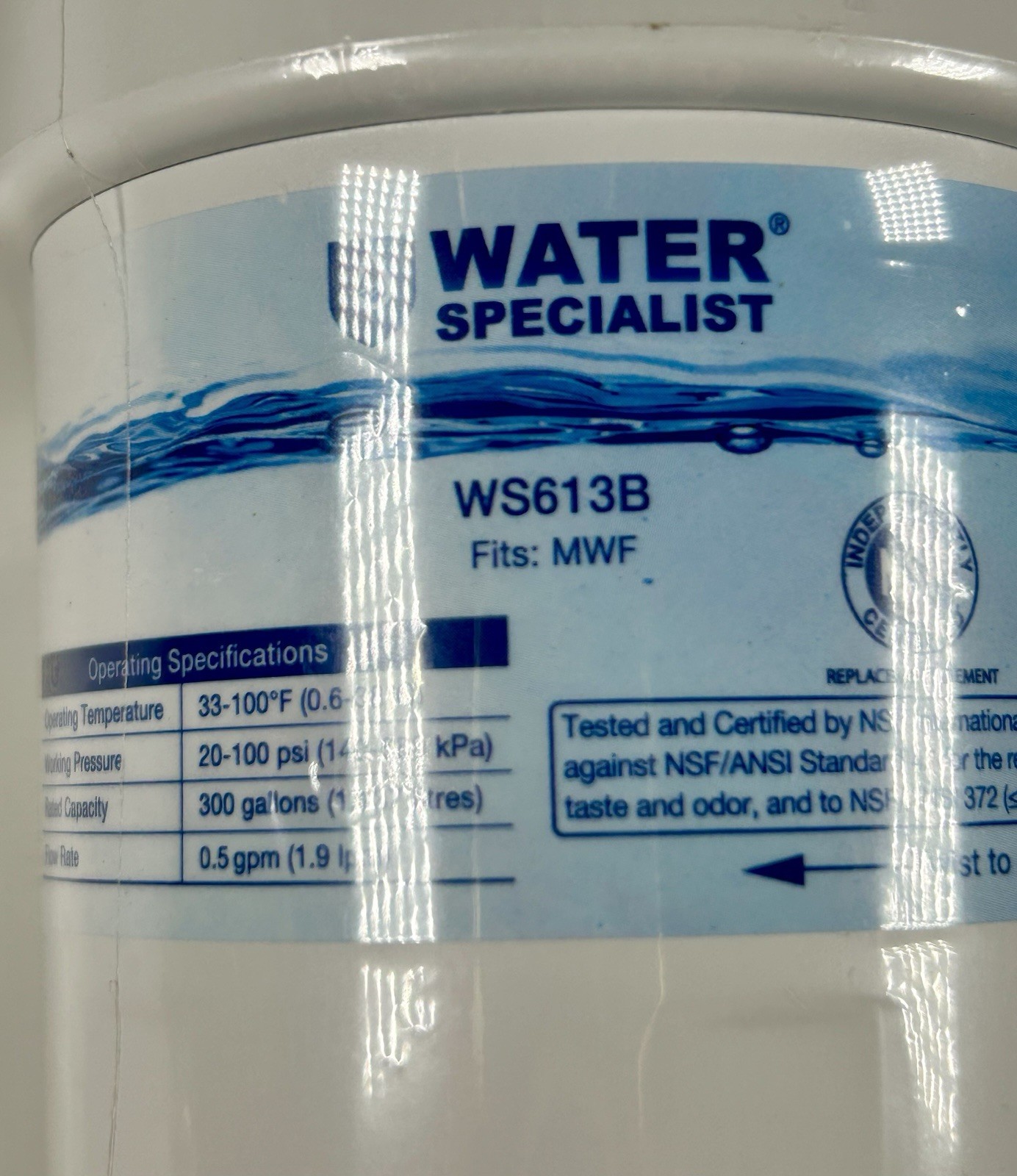 Water Specialist WS613B MWF Water Filter for GE, 300 gal Carbon, 1 Pack