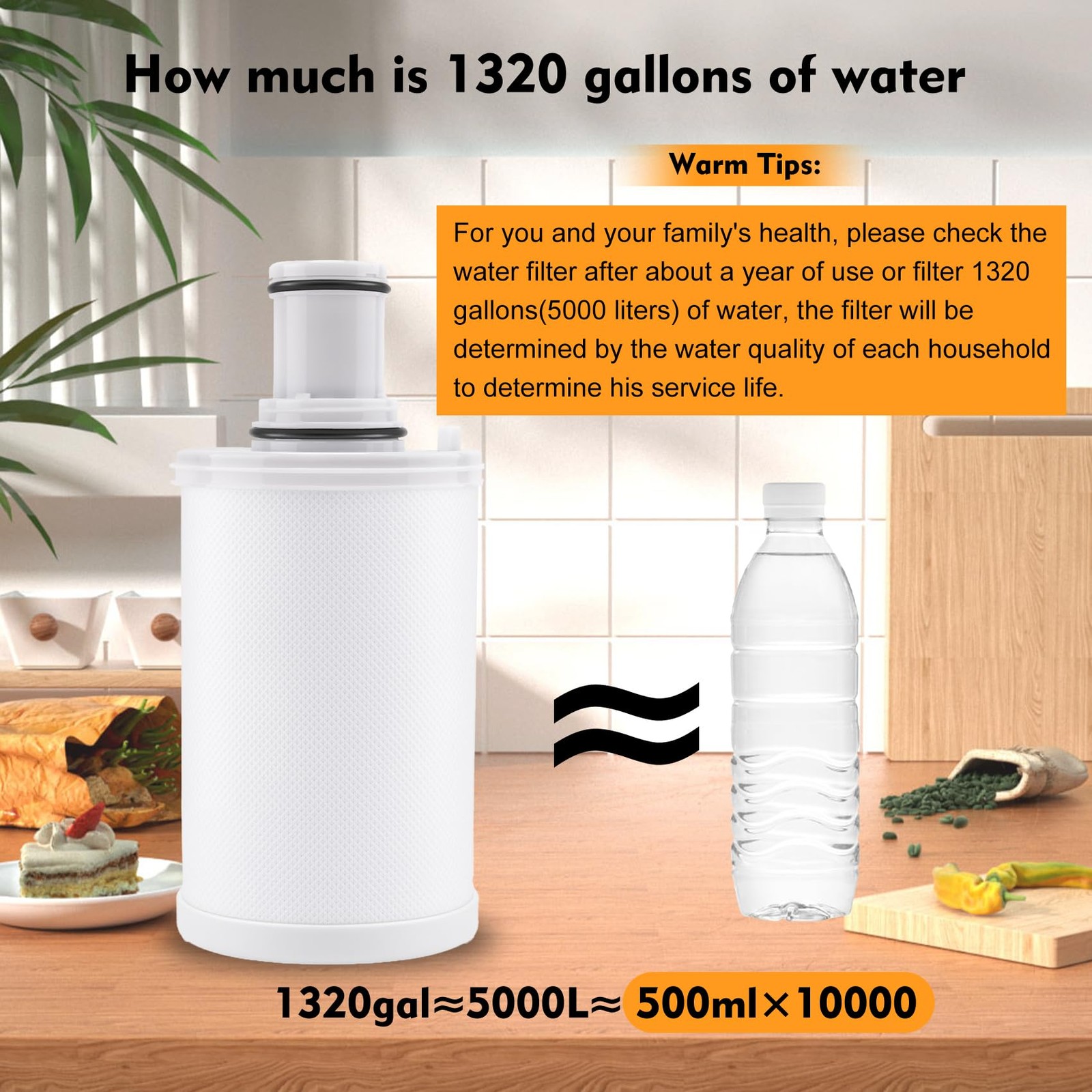 100186 Water Filter Replacement for Amway eSpring Purifier CTC Carbon 1-Year