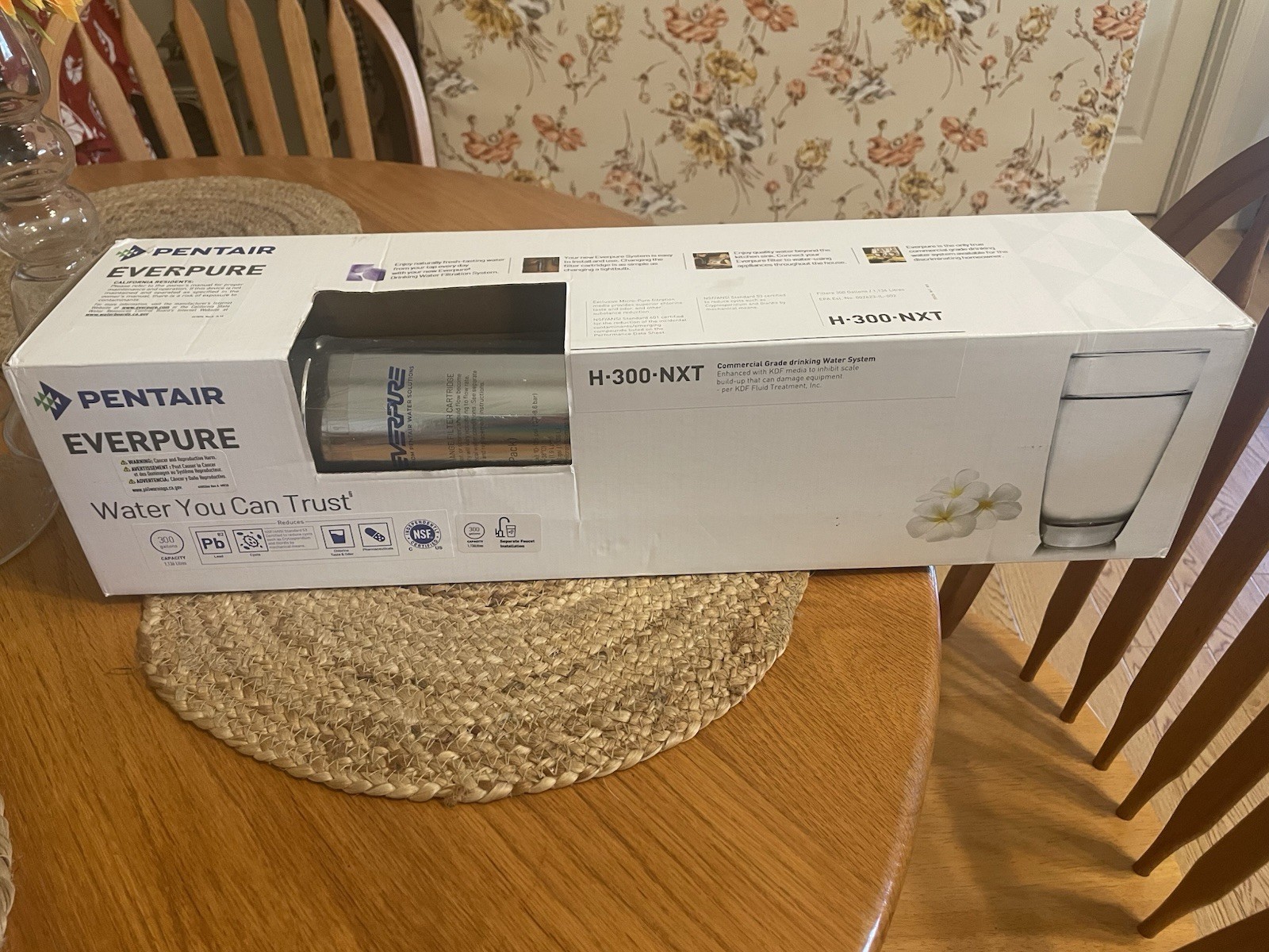 Everpure EV927151 H-300-NXT Drinking Water Filter System, Silver