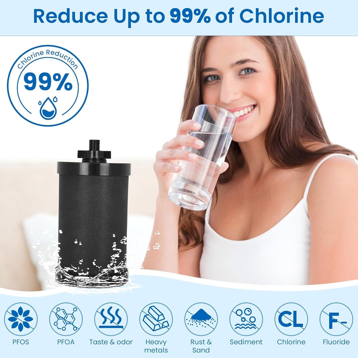 2387 Pro Filter Compatible with Alexapure Pro Gravity Water Filter System 1 F