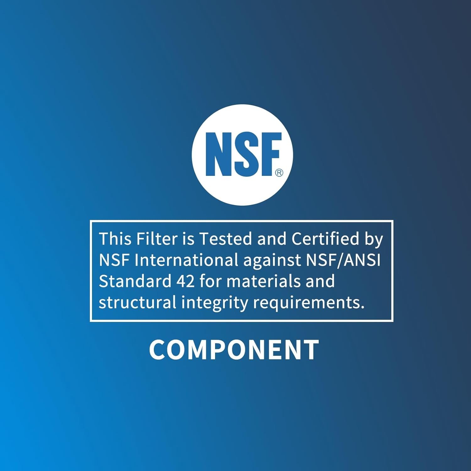 Refrigerator Water Filter, Replacement for GE RPWFE (no Chip), 2 pk