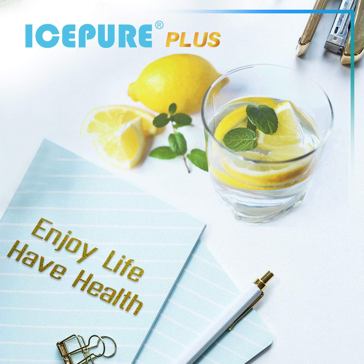 ICEPURE PLUS 9690 NSF/ANSI 53 NSF/ANSI 42Certified Compatible with LG LT700P…