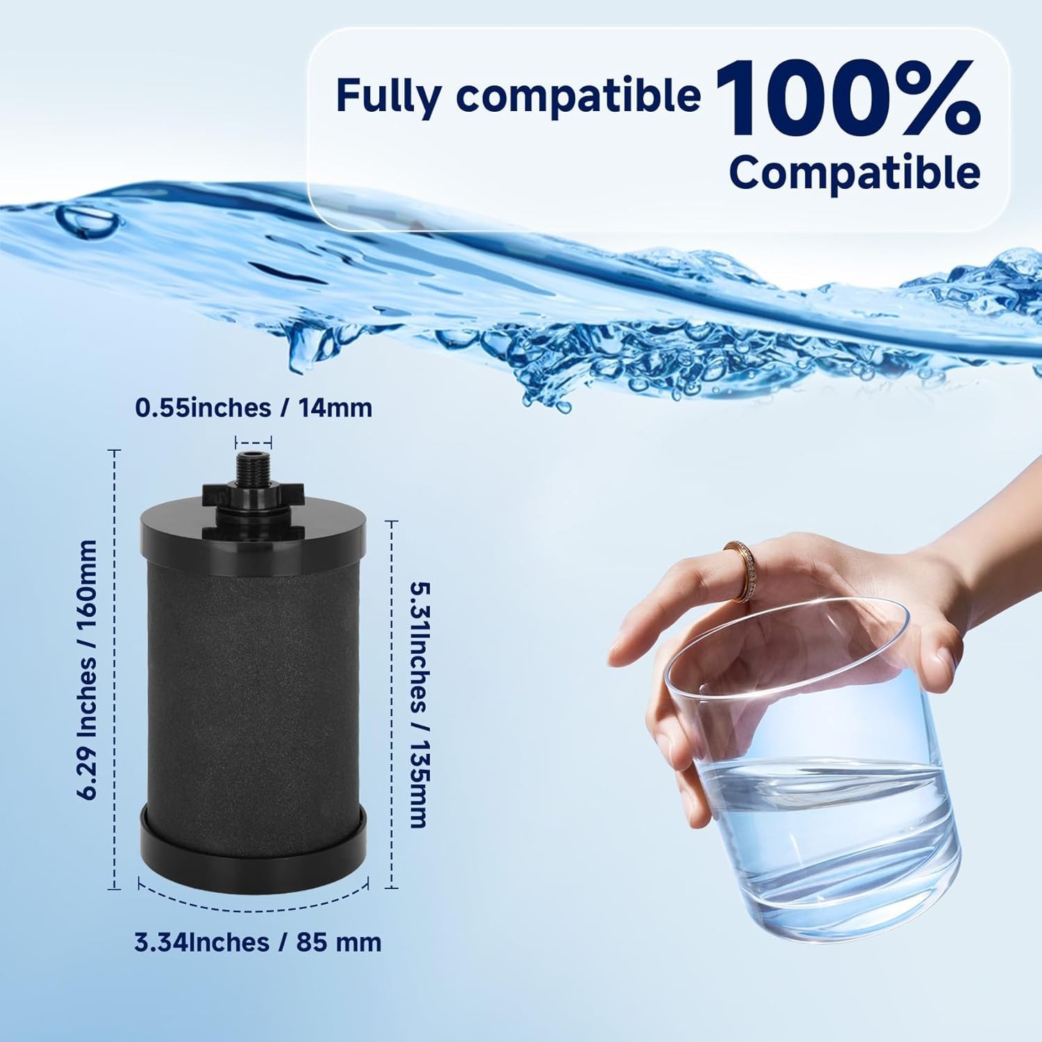 2387 Pro Replacement Filter, NSF Certified, 5,000 Gallon Capacity for Alexapure