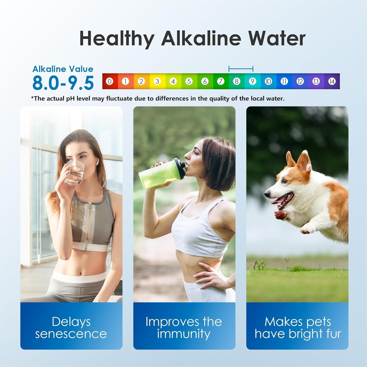 Healthy Alkaline Water Filter, 35-Cup Dispenser – Long Lifespan, BPA-Free, Black