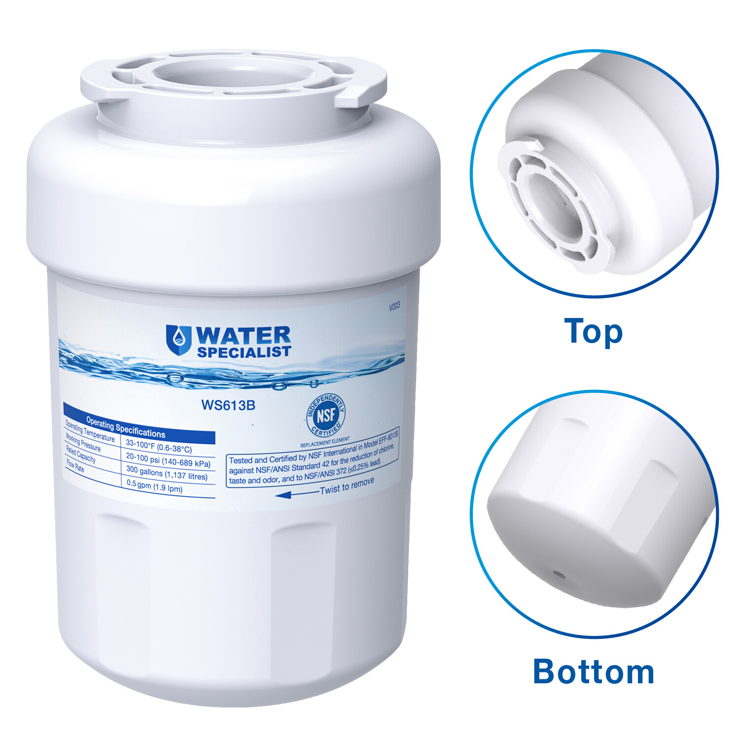 Waterspecialist Refrigerator Water Filter Replacement for GE® SmartWater MWF®(2)