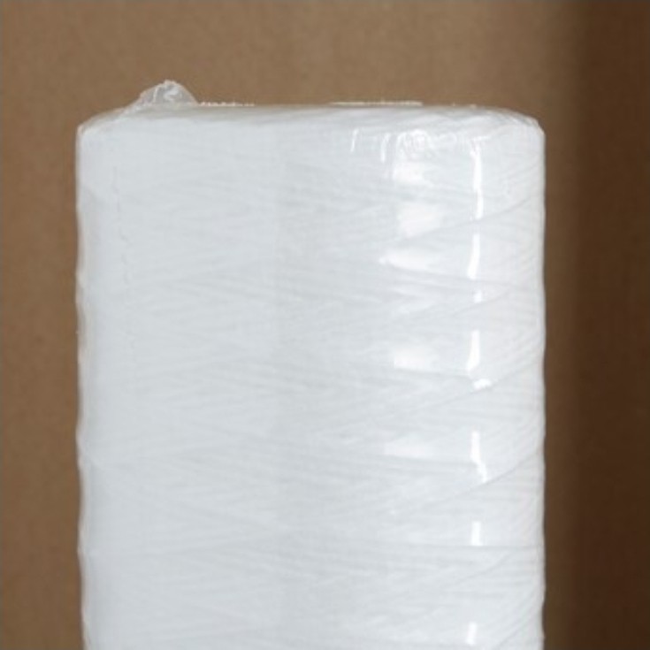 Pentair Single-stage 5-GPM Mechanical Filtration Whole House Water Filtrat..R1W4