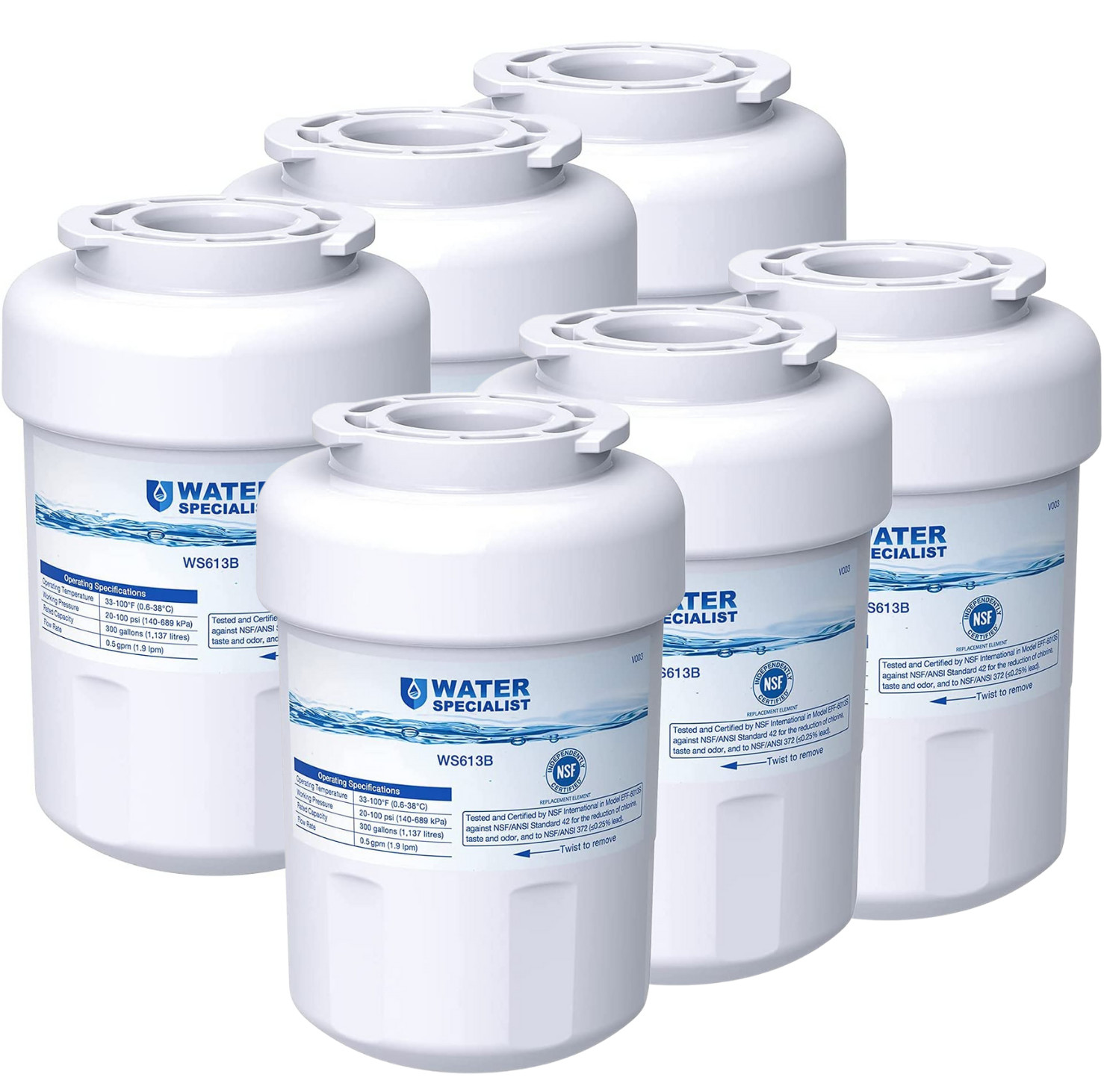 Waterspecialist Refrigerator Water Filter Replacement for GE® MWFP, MWFA,GWF(6)