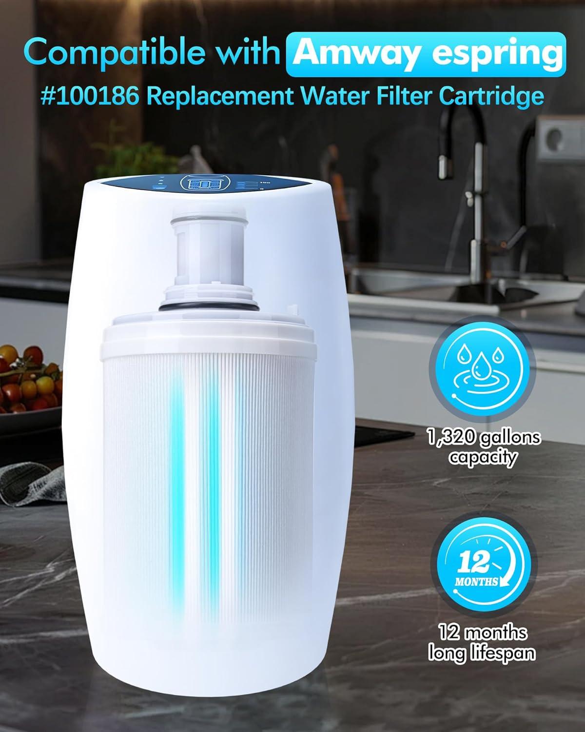 Replacement Water Filters NEW For eSpring Amway Water Purifier 100186 US
