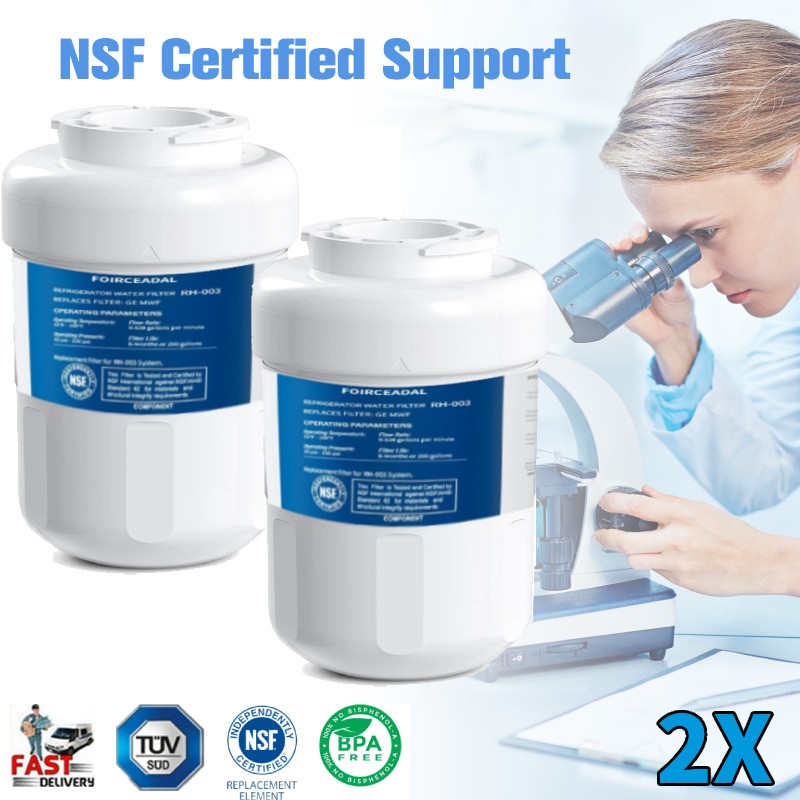 2X For GE MWF MWFP GWF 46-9991 Smartwater Fridge Water Filter US