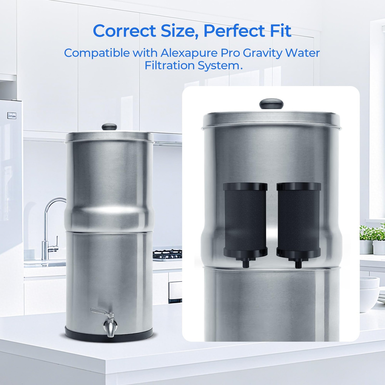 2387 Water Filter, with Alexapure Gravity Water Filtration System, 5,000 Gall…