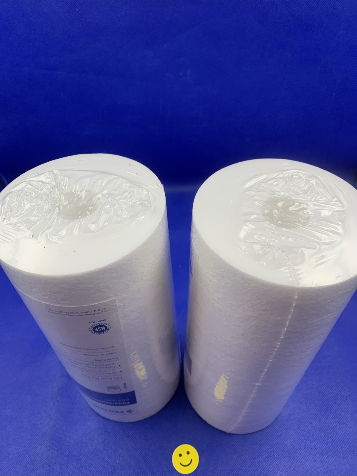 🔥2x Pentair DGD-5005 Big Blue Water Filter, 10-Inch Whole House Sediment Filter