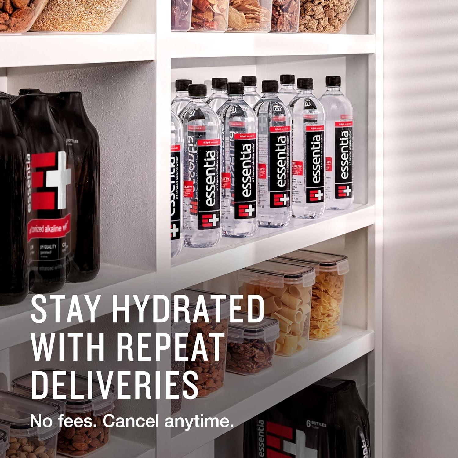 Ionized Alkaline Water 42oz Bottles Pack of 12 High pH Electrolytes